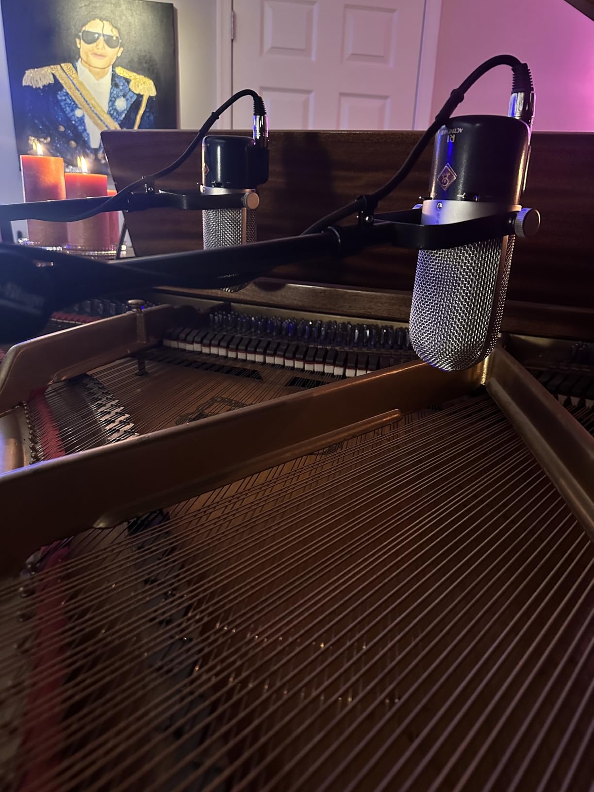 R1 Active MKIII Active Ribbon Microphone customer photo 1