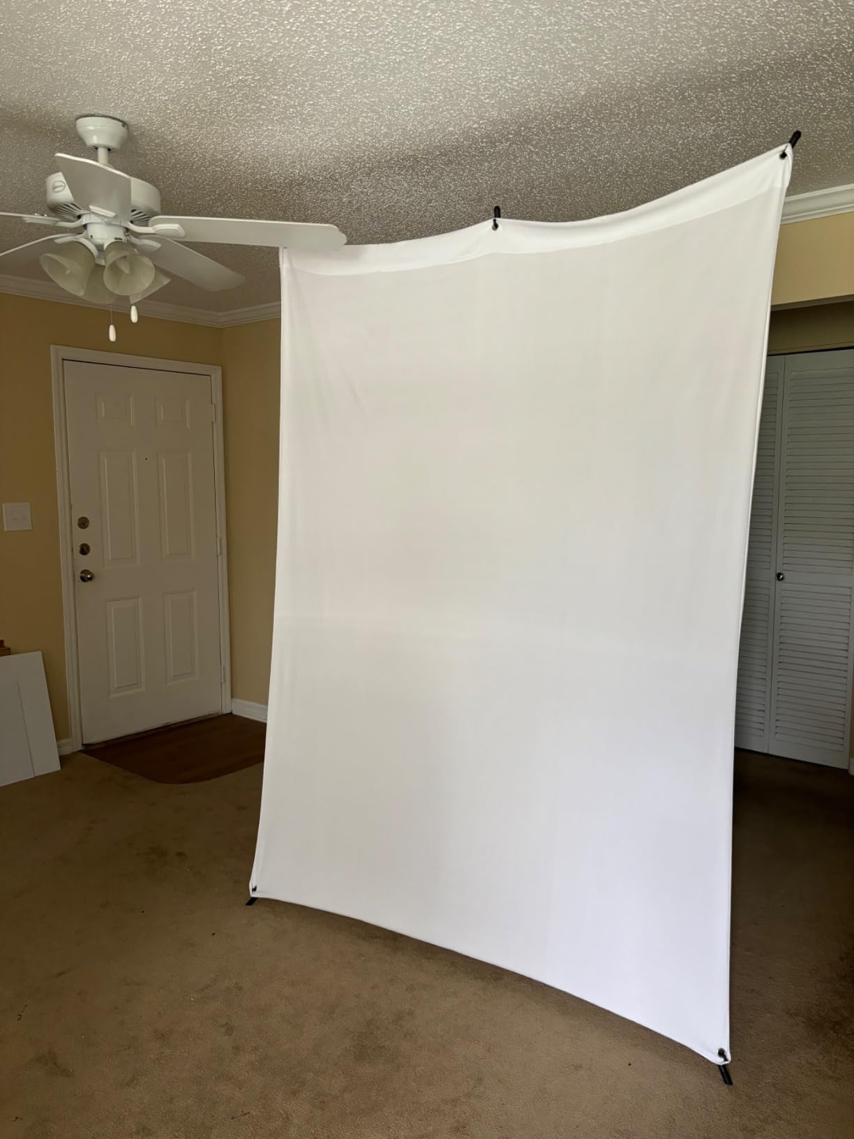 Westcott X-Drop Wrinkle-Resistant 5' x 7' (1.52 x 2.13m) Backdrop for Headshots, Photoshoots & Product Photos - Portable and Travel Friendly (Chroma Key Green) customer photo 1