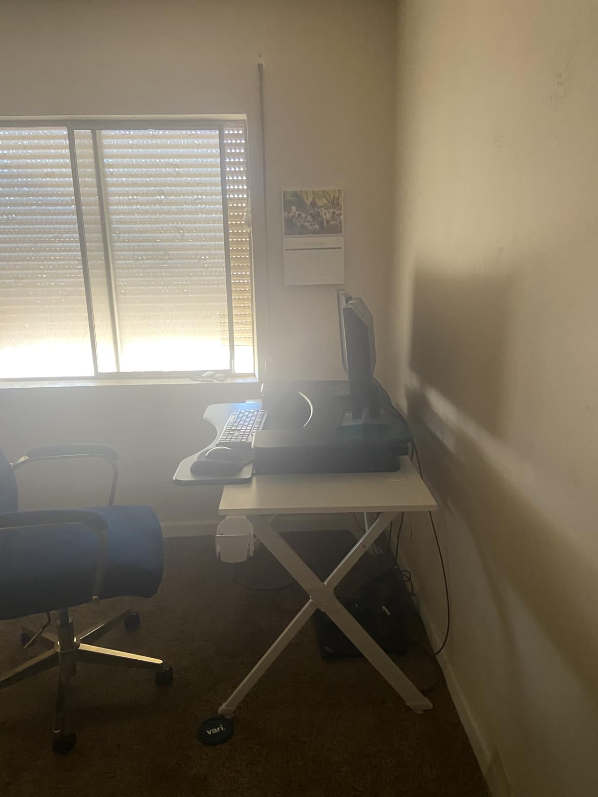 VariDesk Pro Plus 36 - Adjustable Desk Converter with 11 Height Settings - Laptop Sit Stand Desk Riser for Home Office, Table Tops, Workspace - Fully Assembled with Spring Loaded Lift - Black customer photo 2