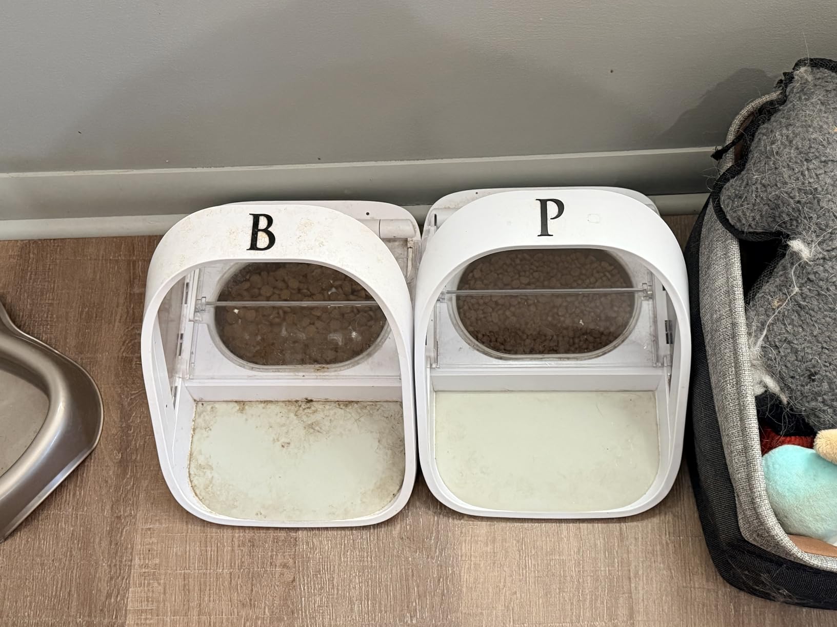 Sure Petcare -SureFlap - SureFeed - Microchip Pet Feeder - Selective-Automatic Pet Feeder Makes Meal Times Stress-Free, Suitable for Both Wet and Dry Food - MPF001 customer photo 2