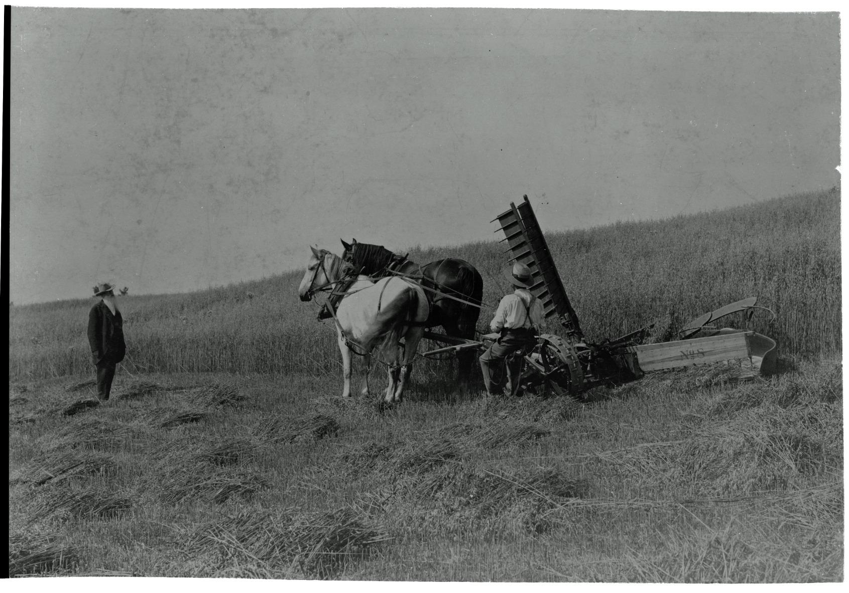 Epson Perfection V800 Photo scanner customer photo 2