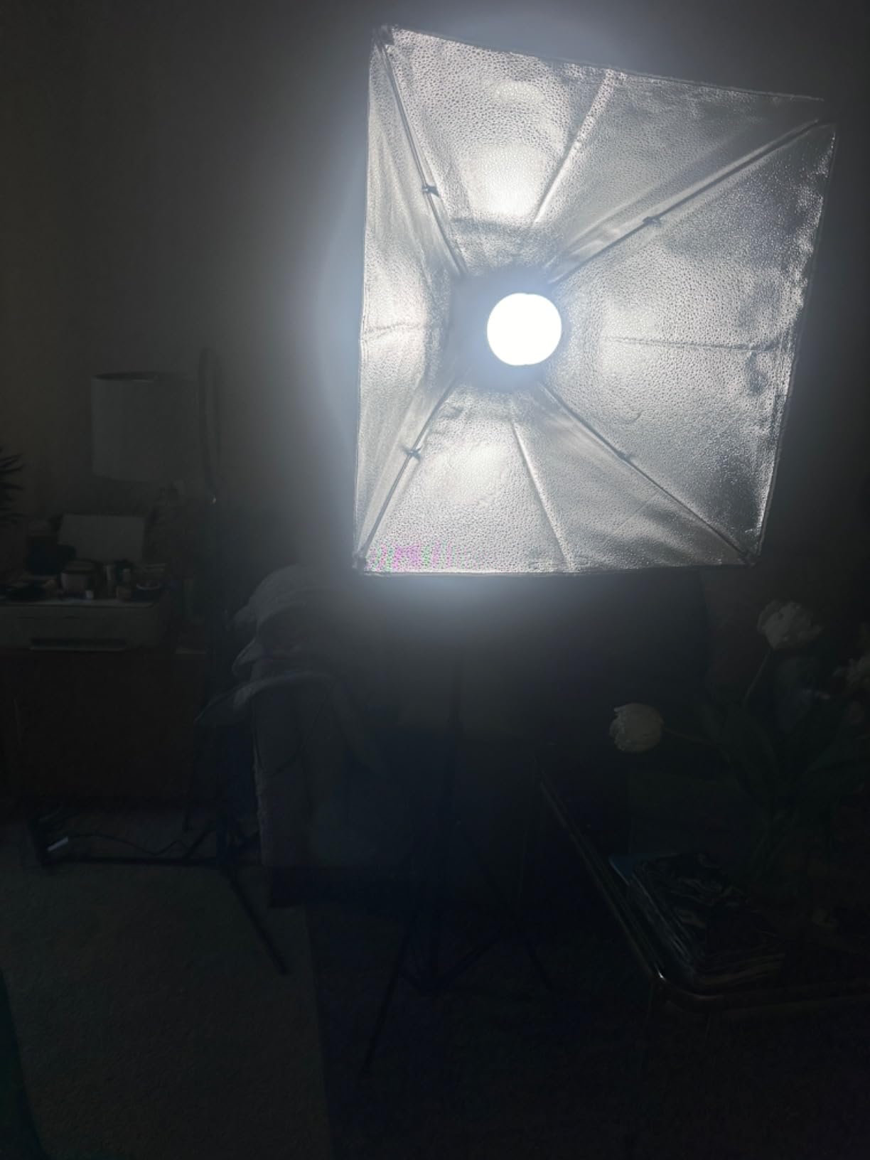 NEEWER 700W Equivalent Softbox Lighting Kit, 2Pack UL Certified 5700K LED Lighting Bulbs, 24x24 inches Softboxes with E26 Socket, Photography Continuous Lighting Kit Photo Studio Equipment customer photo 2