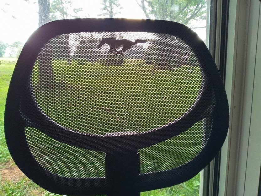 Amazon Basics Low Back Office Chair, Breathable Mesh, Height Adjustable, Padded Seat, Rolling Wheels, Swivel, Back Support, Sturdy, 21.25