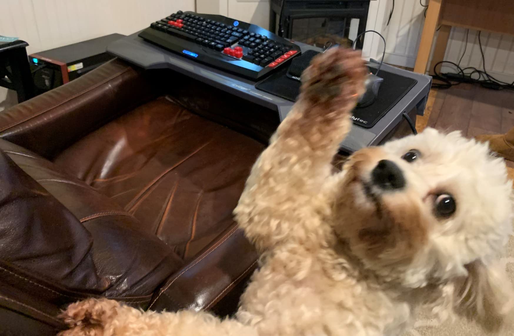 Movo MC1000 Conference USB Microphone for Computer Desktop and Laptop with 180° / 20' Long Pick up Range Compatible with Windows and Mac for Dictation, Recording, YouTube, Conference Call, Skype customer photo 1