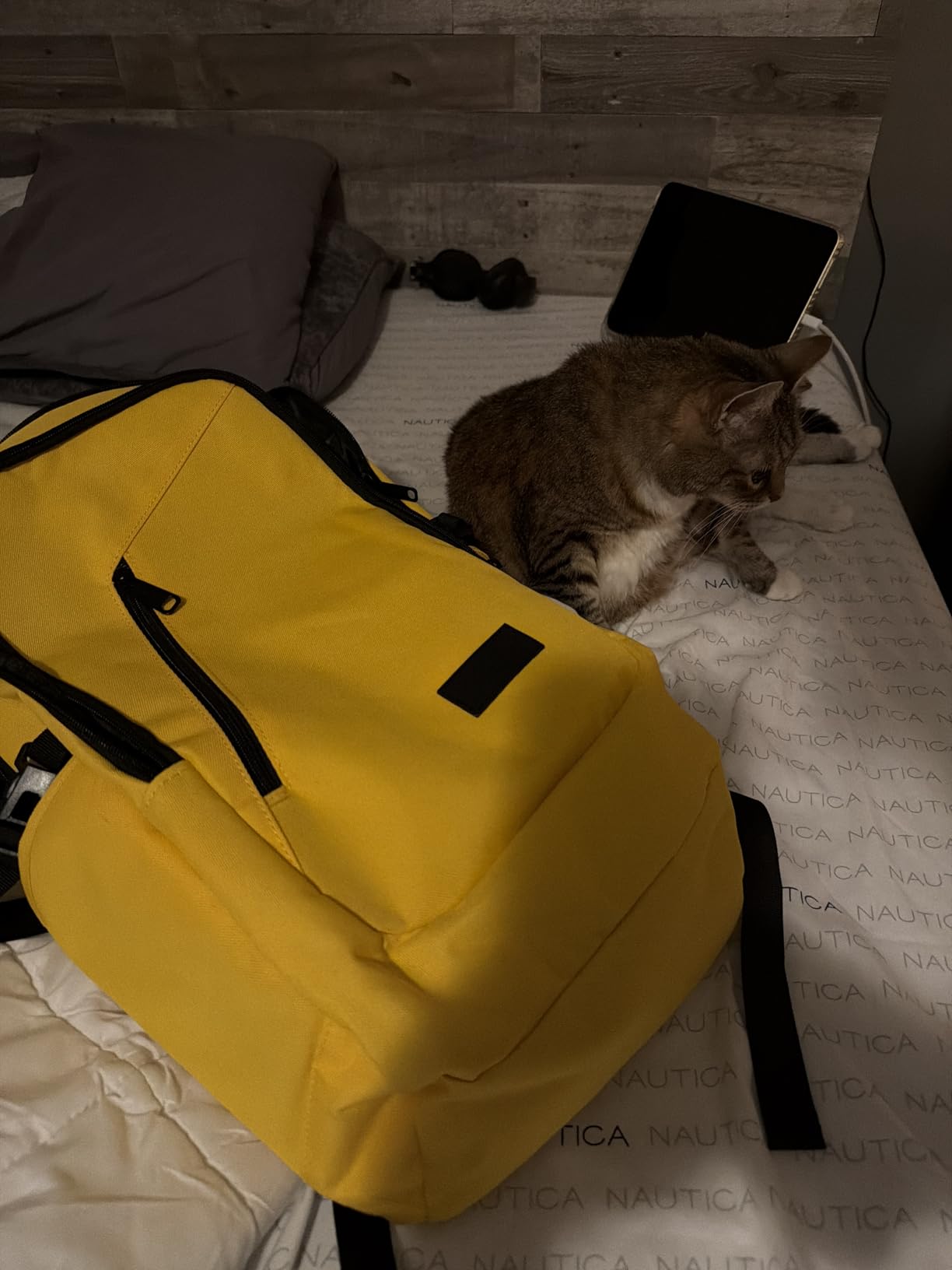 Mancro Laptop Backpack for Travel, Anti-theft Laptop Backpack for Men Business Backpack Work Daypack with Lock, Water Resistant Travel Computer Bag Daypack, Grey customer photo 1