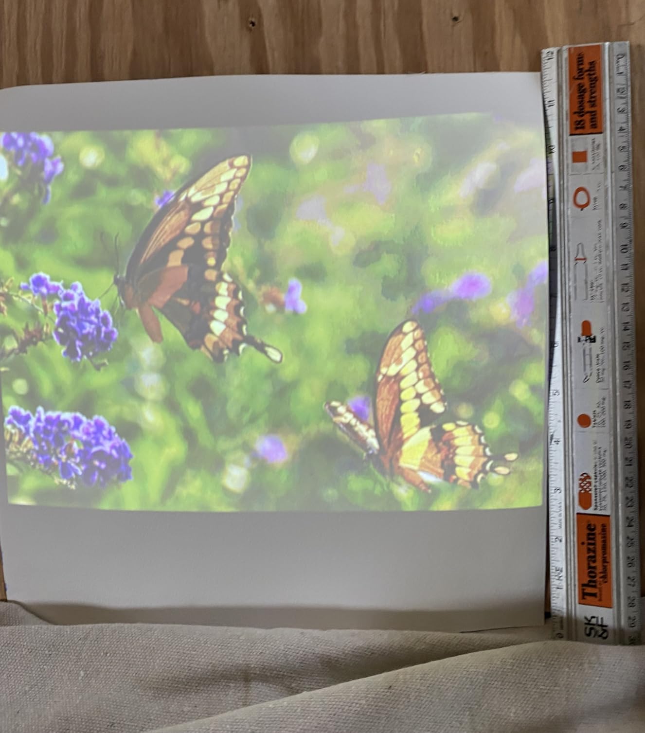 Kodak Ultra Mini Portable Projector - HD 1080p support LED DLP Rechargeable Pico Projector - 100