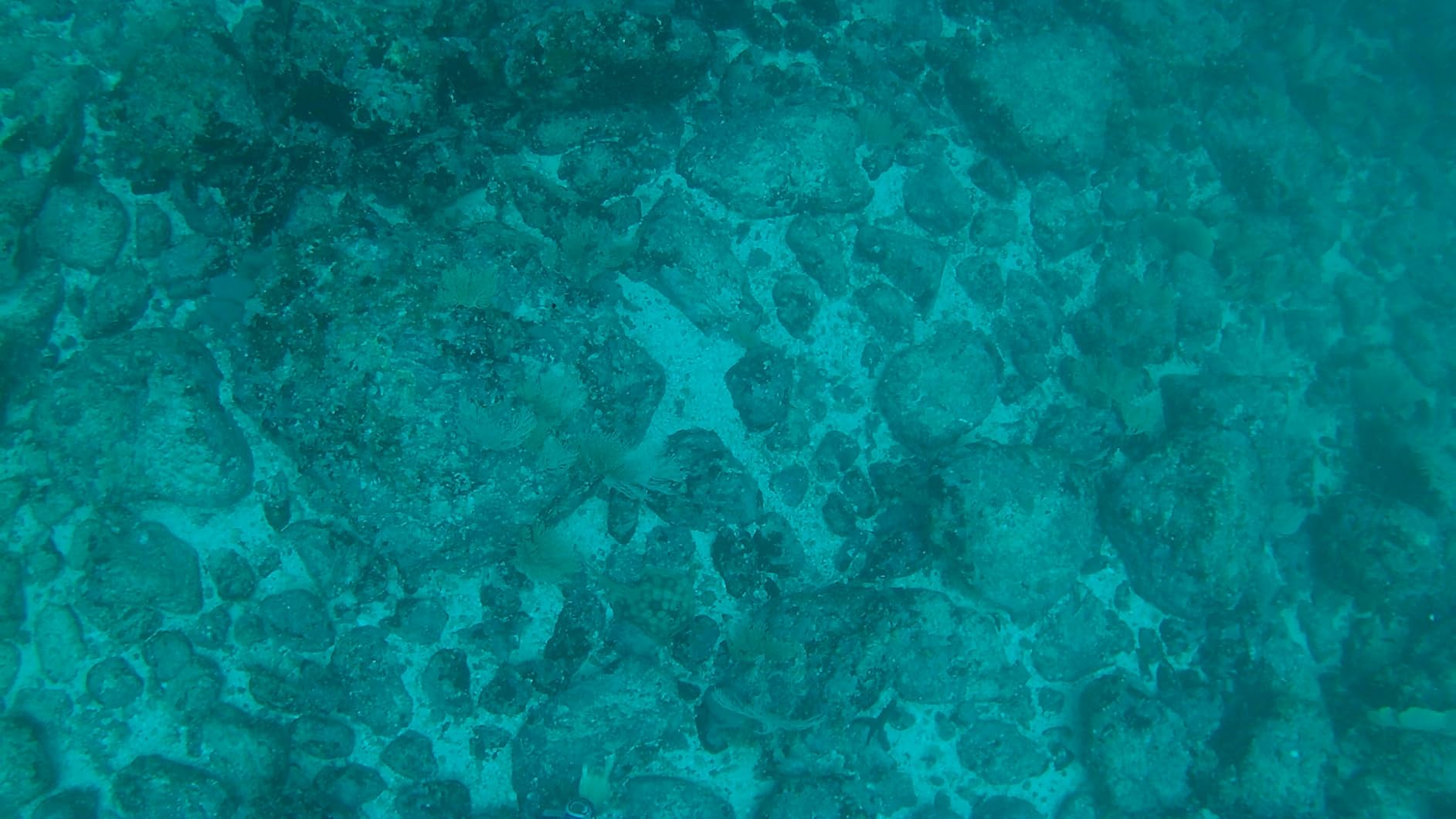 AKASO EK7000 Pro 4K30fps Action Camera with Touch Screen EIS 131ft Waterproof Underwater Camera Remote Control 5X Zoom with Helmet Accessories Kit (Standalone) customer photo 1