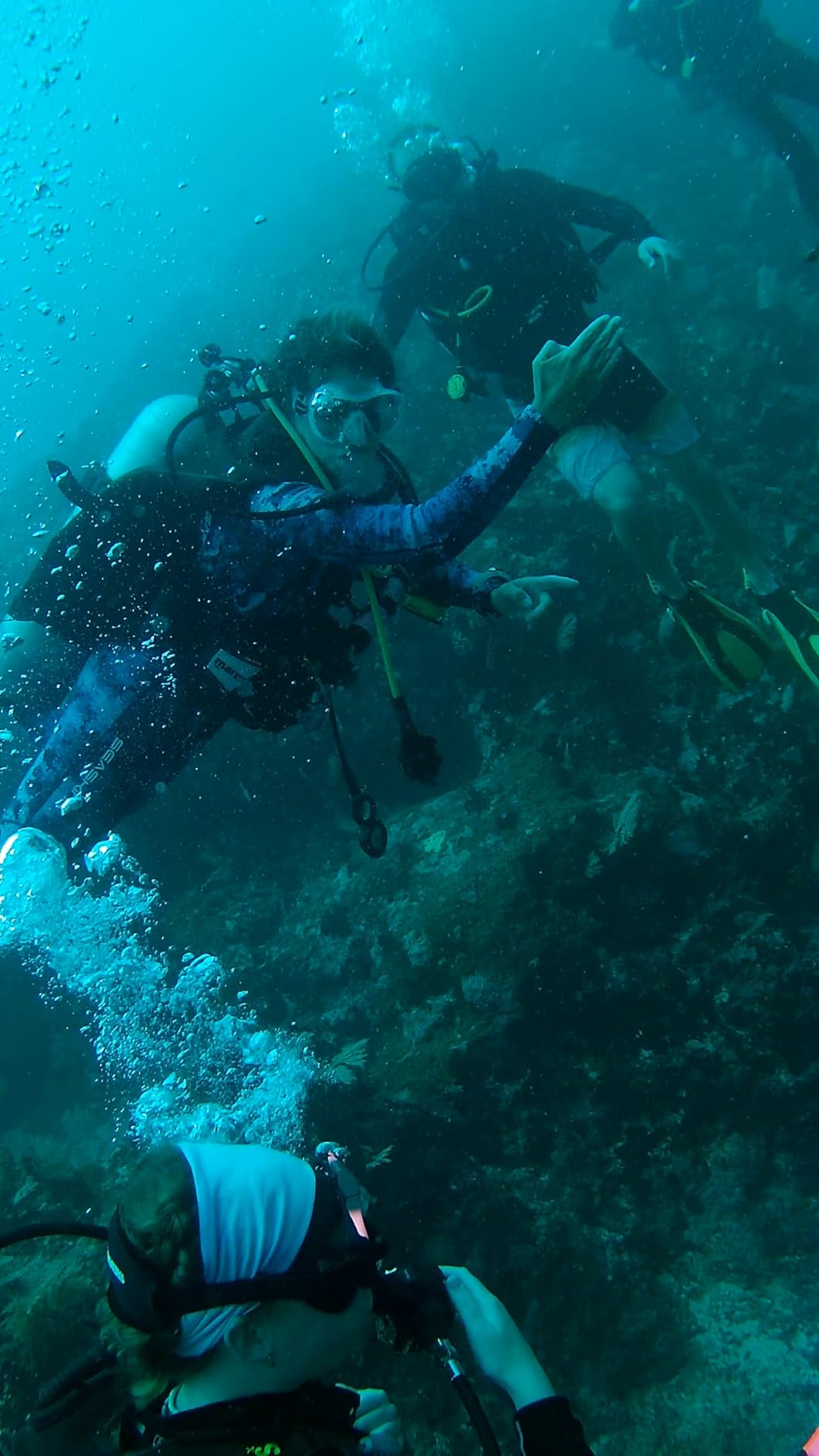 AKASO EK7000 Pro 4K30fps Action Camera with Touch Screen EIS 131ft Waterproof Underwater Camera Remote Control 5X Zoom with Helmet Accessories Kit (Standalone) customer photo 2