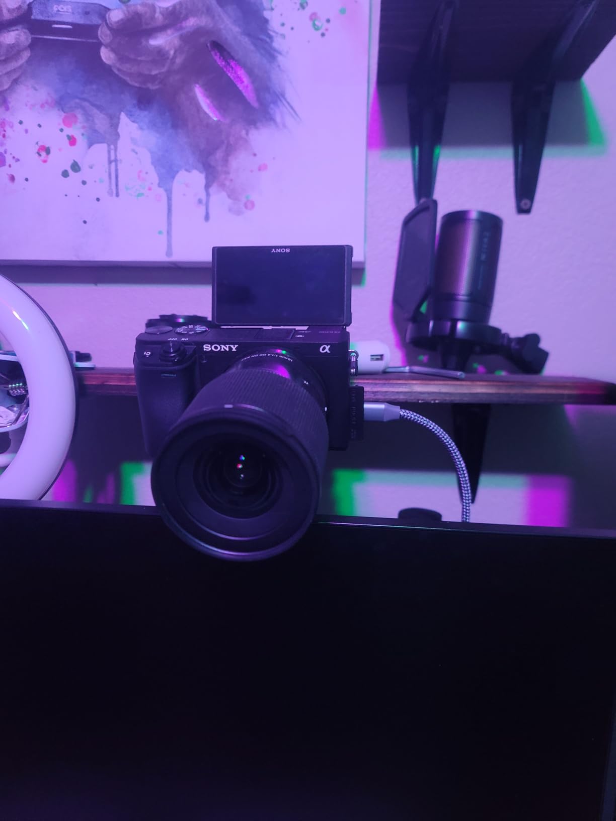 Elgato Cam Link 4K - External Capture Card for DSLR & Camcorder, ActionCam as Webcam, Meet/Stream/Record in 1080p60 or 4K30/4K60, Easy Connect for OBS/Zoom/Discord - HDMI to USB 3.0, PC/Mac/iPad customer photo 1