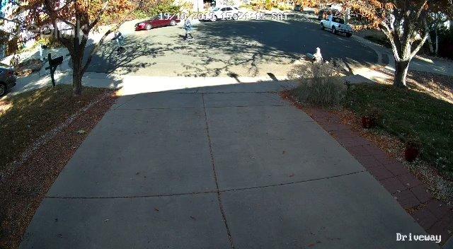 REOLINK 4K Security Camera System - H.265 4pcs PoE Security Cameras Wired with Person Vehicle Detection, 8MP/4K 8CH NVR with 2TB HDD for 24-7 Recording, RLK8-800B4 customer photo 1