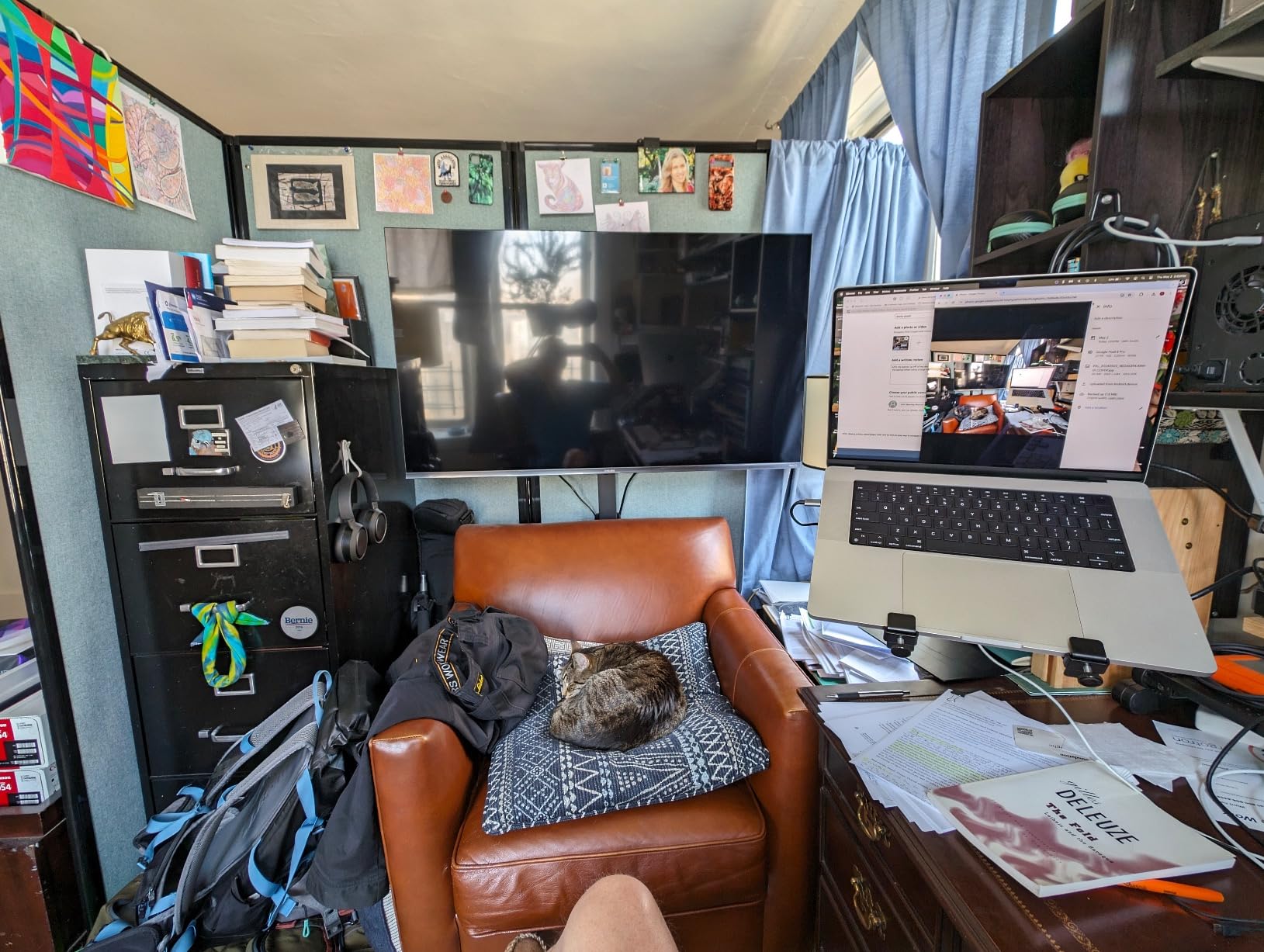 LX Single Monitor Arm, VESA Wall Mount - for Monitors Up to 34 Inches, 7 to 25 lbs - Matte Black customer photo 2