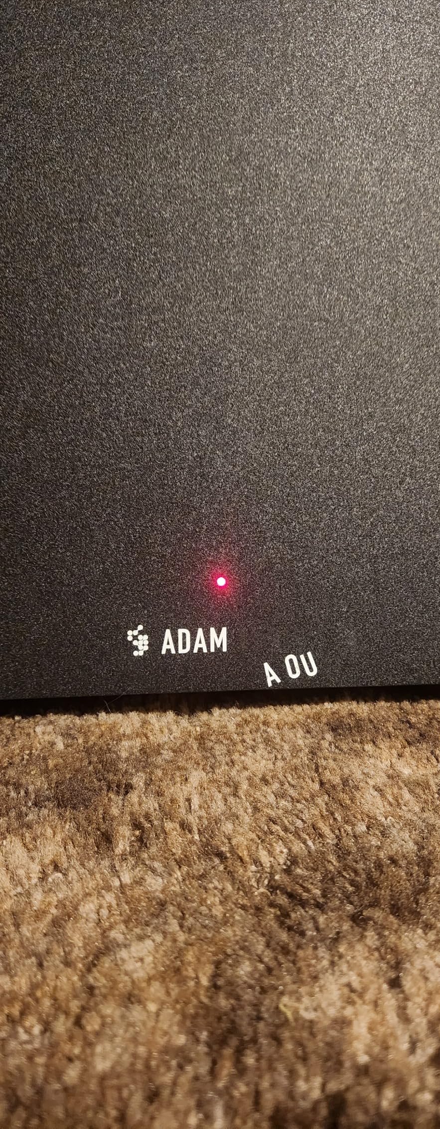 ADAM Audio T10S Studio Subwoofer for recording, mixing and mastering, Studio Quality Sound (Single) customer photo 2