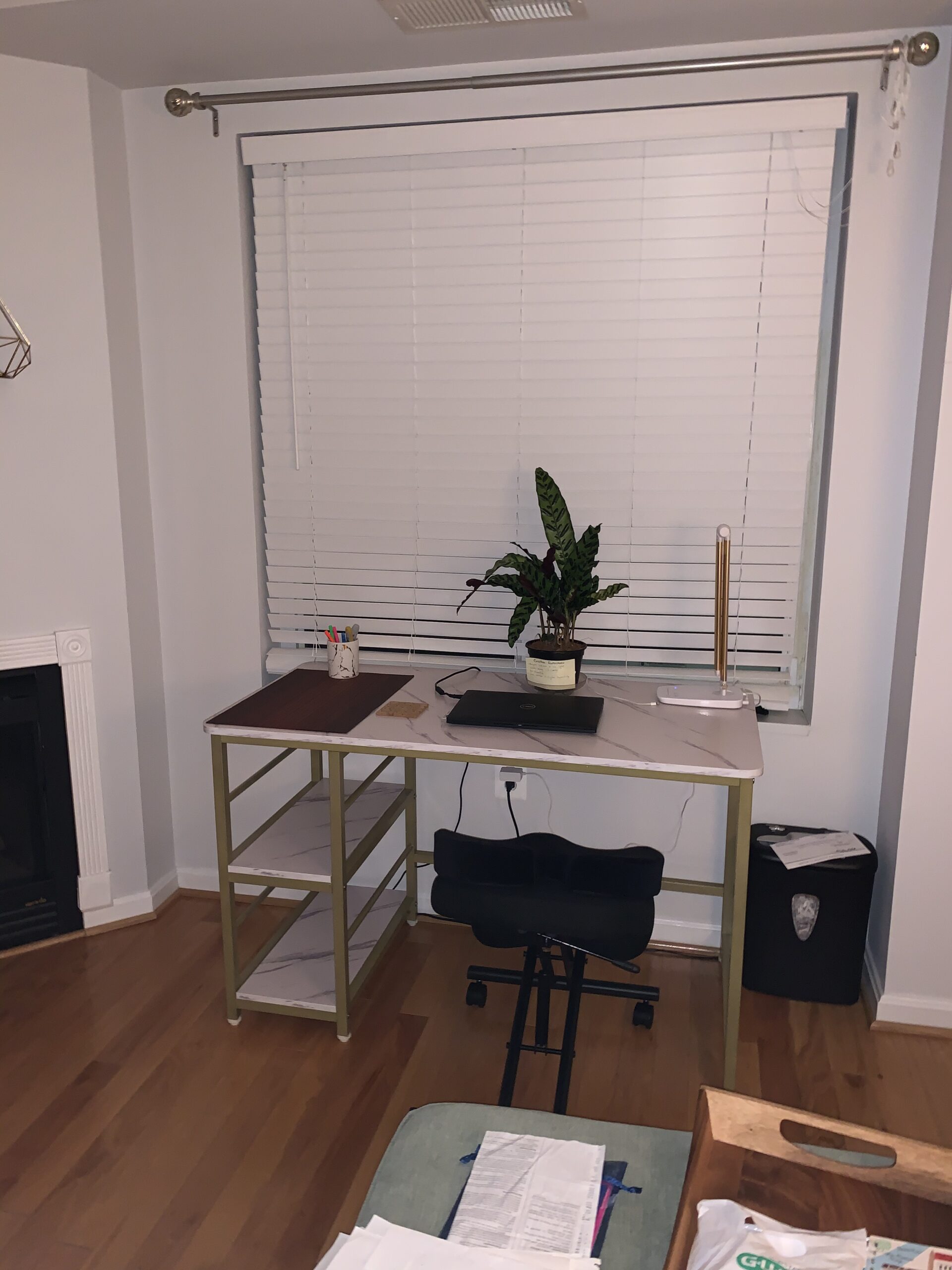 ProErgo Pneumatic Ergonomic Kneeling Chair | Fully Adjustable Mobile Office Seating | Improve Posture to Relieve Neck & Back Pain | Easy Assembly | Use in Home, Office & Classroom customer photo 2