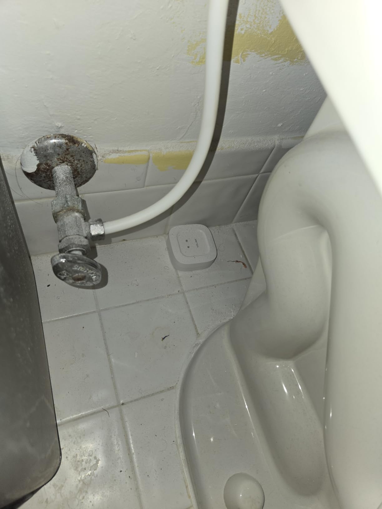 YoLink Water Leak Starter Kit: Hub + 4 Leak Sensor 1 (Silent), LoRa Long-Range, App/SMS/Email Alerts, D2D Offline Triggers, 2 AAA Up to 5-Year Battery, Compatible with Alexa/IFTTT/Home Assistant customer photo 1