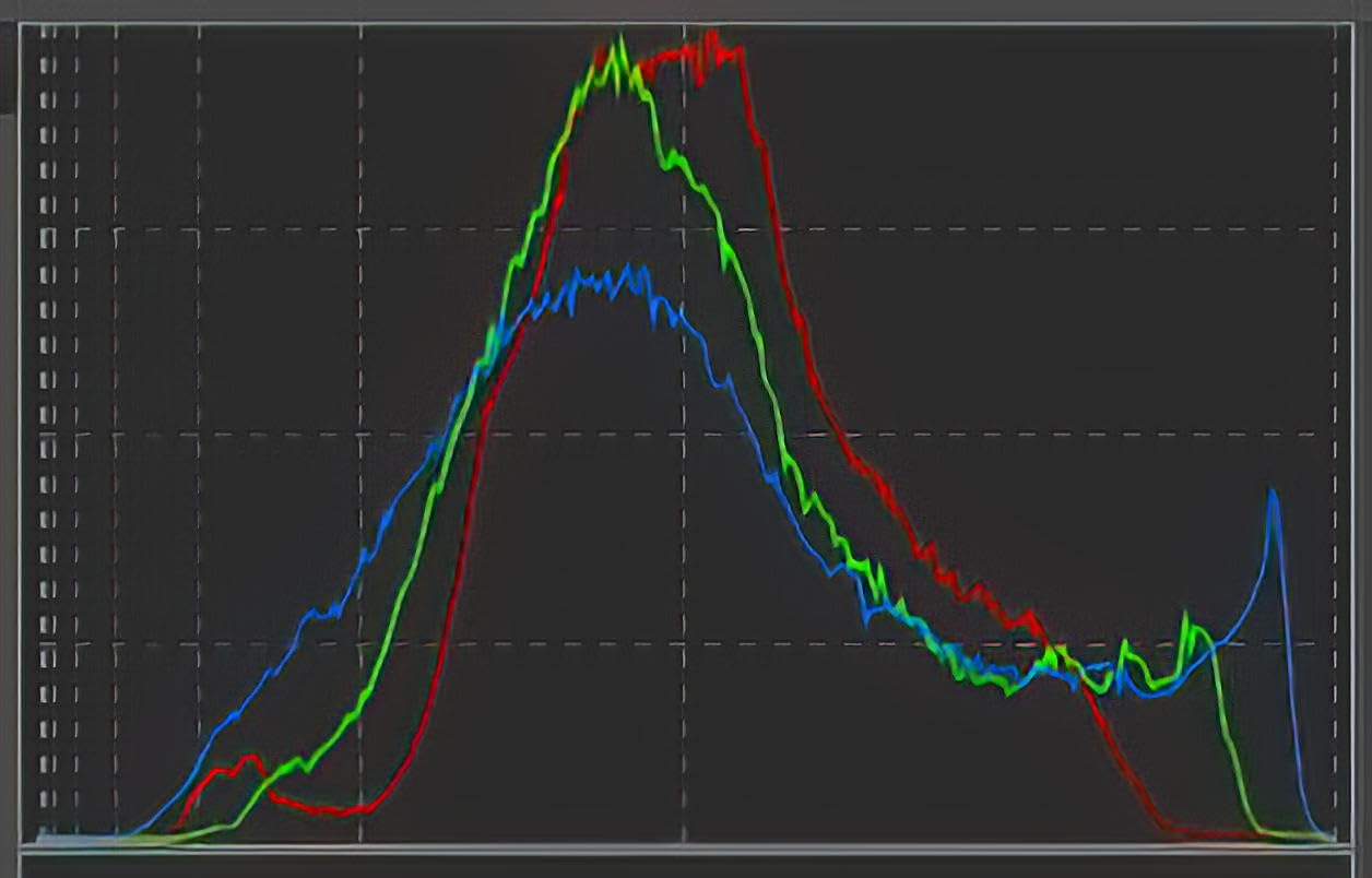 Magnasonic All-in-One 24MP Film Scanner with Large 5