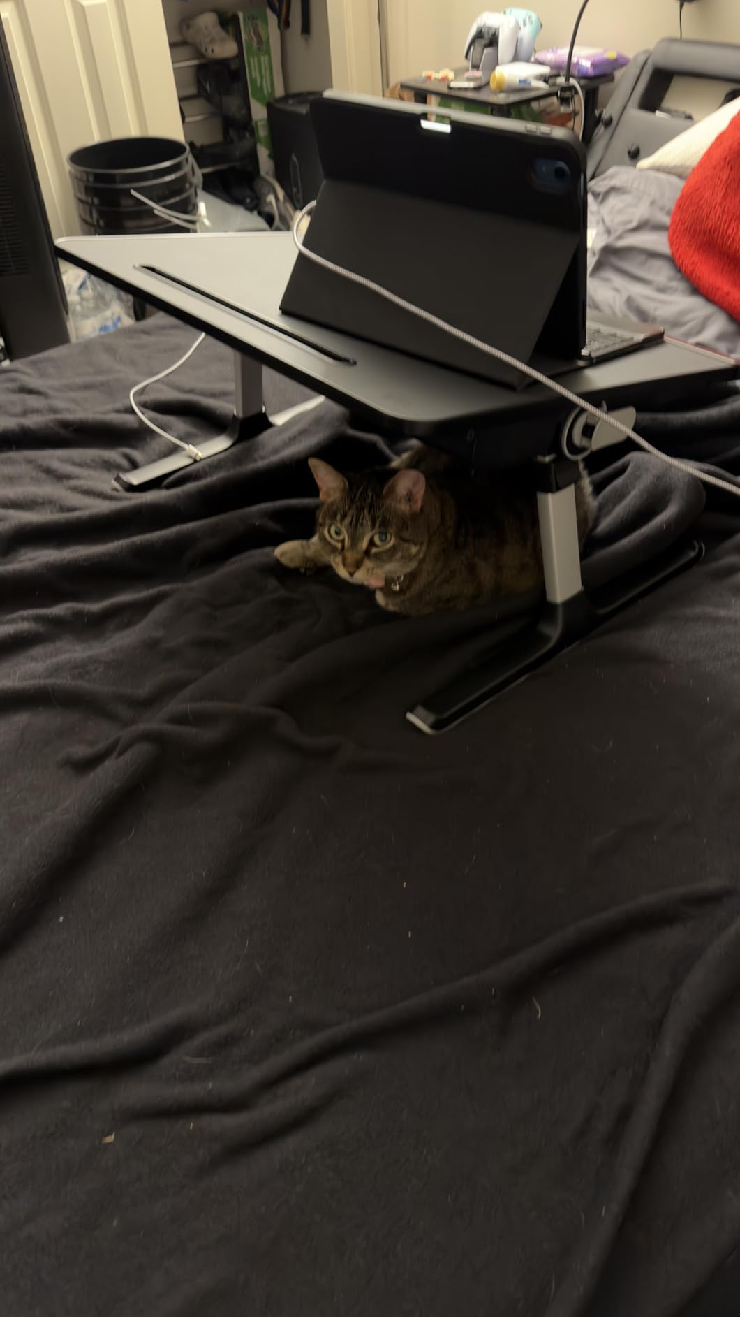 Laptop Bed Tray Desk, SAIJI X-Large Adjustable Laptop Table, Foldable Laptop Desk with Storage Drawer and Bookstand for Eating, Working, Writing, Gaming, Drawing (Black) customer photo 2