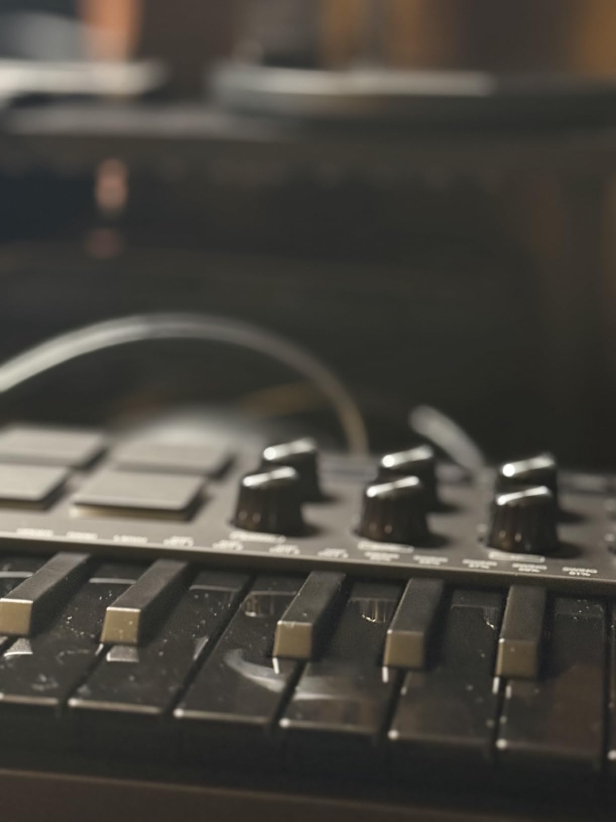 Akai Professional MPK Mini MK3 25 Key USB MIDI Keyboard Controller With 8 Backlit Drum Pads, 8 Knobs, Music Production Software and Native Instruments Sound Package (NKS Integration) customer photo 2