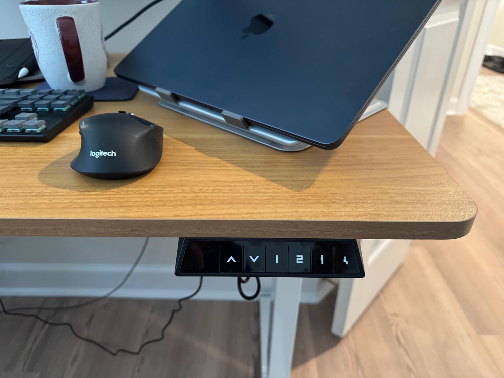 FLEXISPOT EN1 One-Piece Standing Desk, Electric Adjustable with 4 Memory Presets, 176 LBS Capacity, Stable & Quiet, Seamless Desktop for Home Office & Dual Monitors, 60