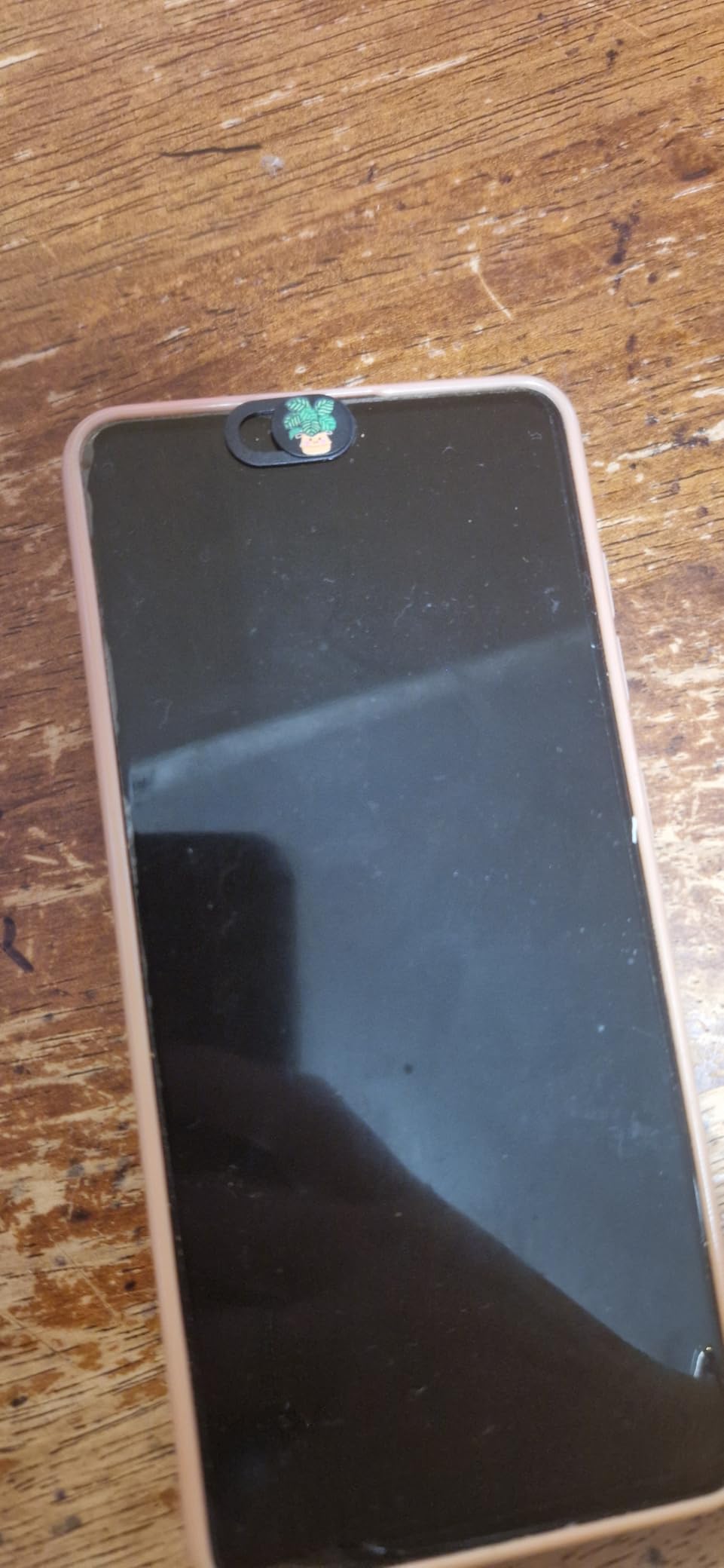 MESMOS 6pk Laptop Camera Cover Slide Cute, Laptop Accessories, Phone & Computer Camera Webcam Cover Slide, Web Cam Privacy Blocker (Small) customer photo 2