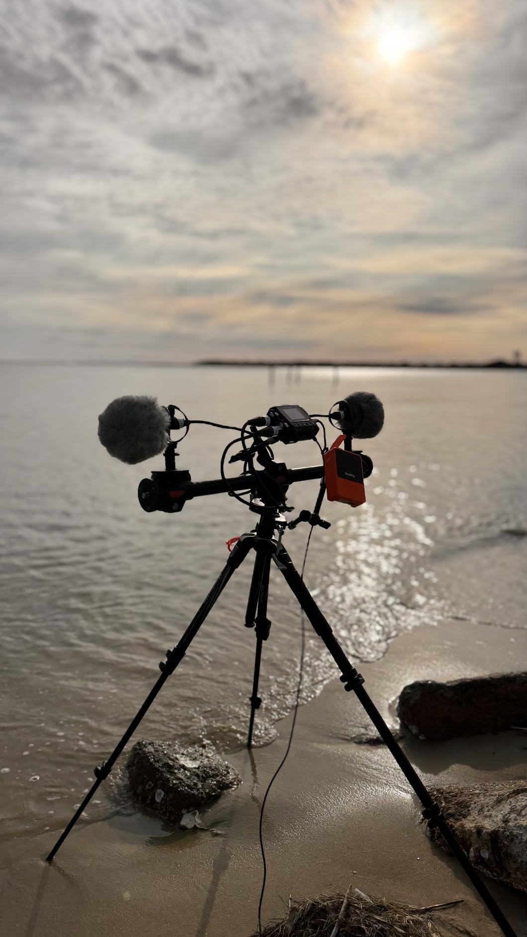 SmallRig Tripod Ball Head 360 Degree Rotating Panoramic Ballhead with 1/4 inch Quick Shoe Plate, Max Load up to 5 kg/11lb customer photo 1