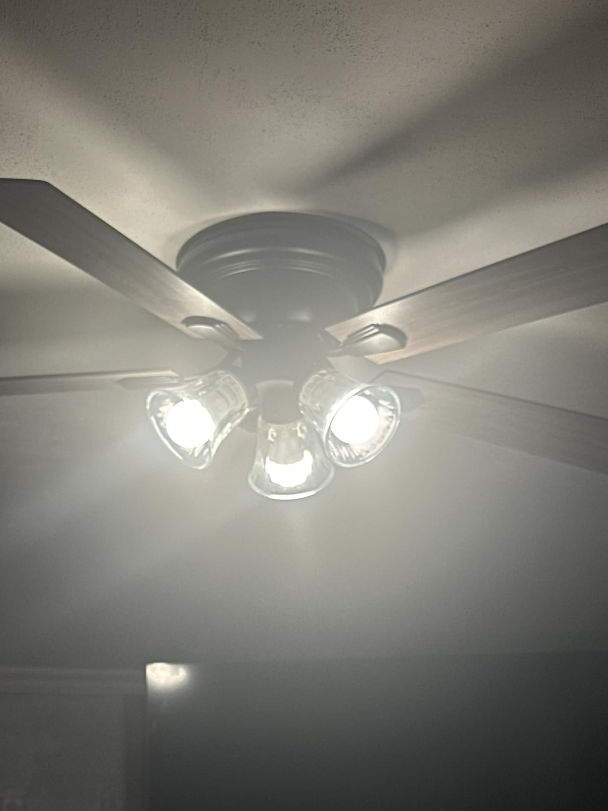 Kasa Smart Light Bulbs, Full Color Changing Dimmable Smart WiFi Bulbs Compatible with Alexa and Google Home, A19, 9W 800 Lumens, 2.4Ghz only, No Hub Required, 4 Count (Pack of 1), Multicolor (KL125P4) customer photo 2