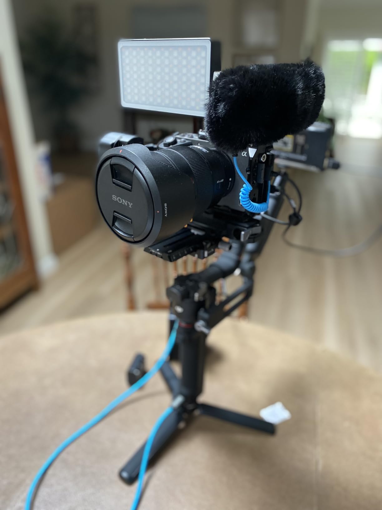 SENNHEISER Professional MKE 400 Directional On-Camera Shotgun Microphone with 3.5mm TRS and TRRS Connectors for DSLR, Mirrorless & Mobile, Connects with Auxiliary customer photo 2