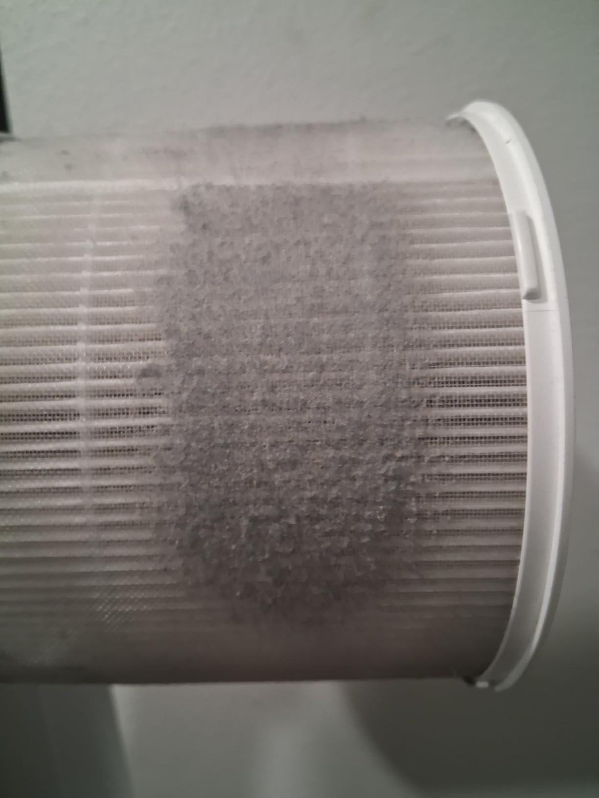 Clorox Air Purifiers for Bedroom Home, True HEPA Filter, Small Rooms Up to 200 Sq Ft, Removes 99.9% of Mold, Viruses, Wildfire Smoke, Allergens, Pet Allergies, Dust, AUTO Mode, Whisper Quiet customer photo 1