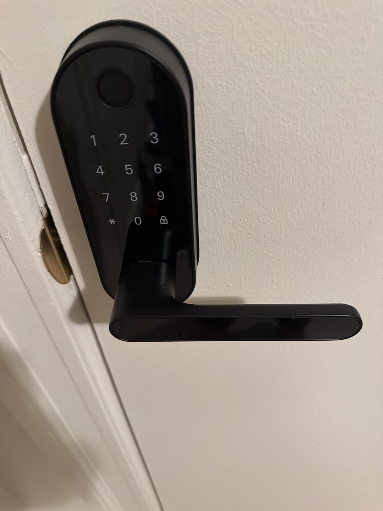 Fingerprint Smart Door Lock with Handle & Keypad - Bluetooth Keyless Entry for Front Door, Home, Kids, Guests, Airbnb & Rental, App + Code Access, Compatible with Alexa & Google customer photo 1