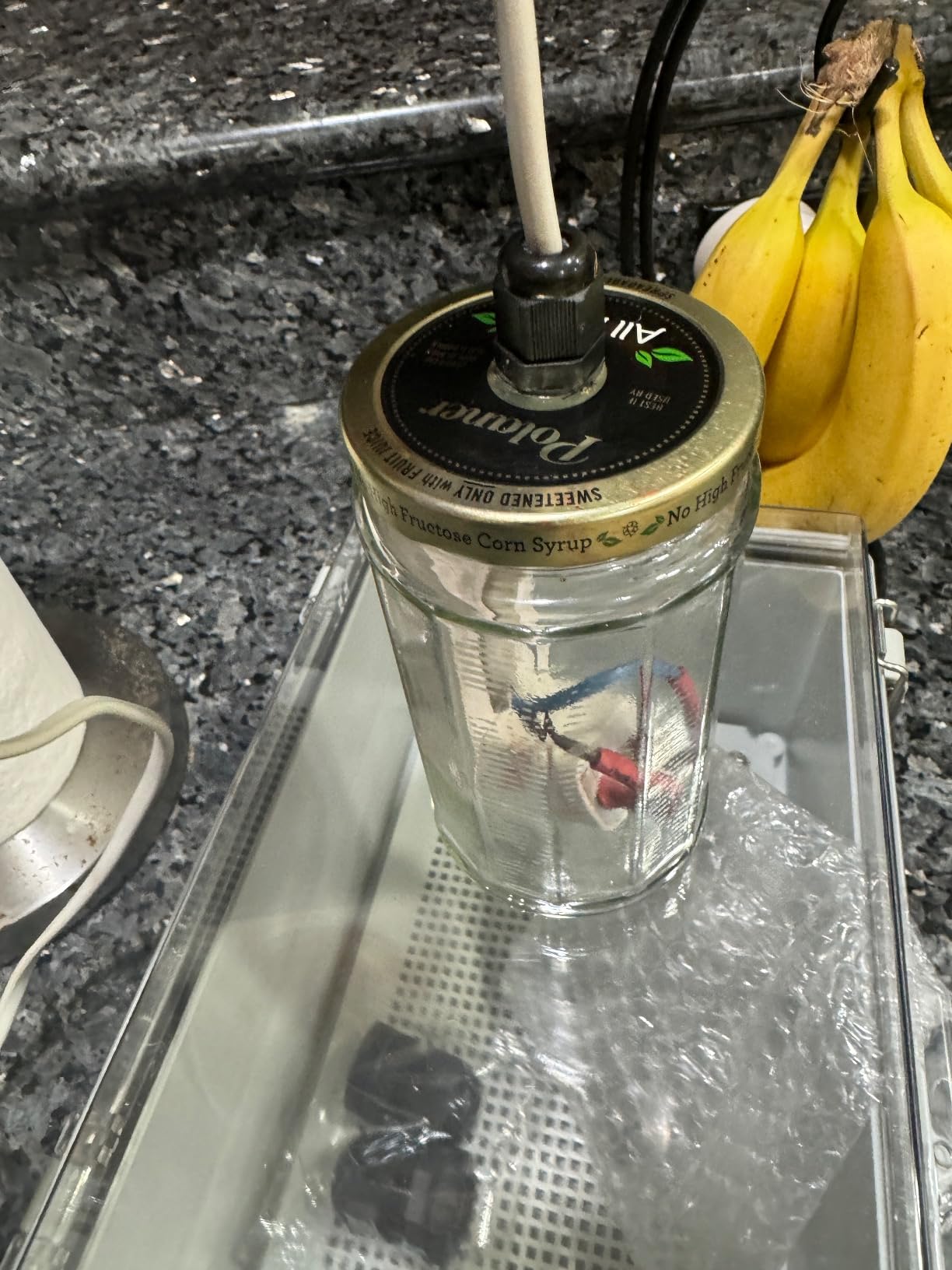 Smart Hub E1 for Home Automation, 2.4 GHz Wi-Fi Required, Features Aqara Zigbee (Not Third-Party), Powered by USB-A, Small Size, Supports HomeKit, Alexa, Google Assistant, IFTTT customer photo 2