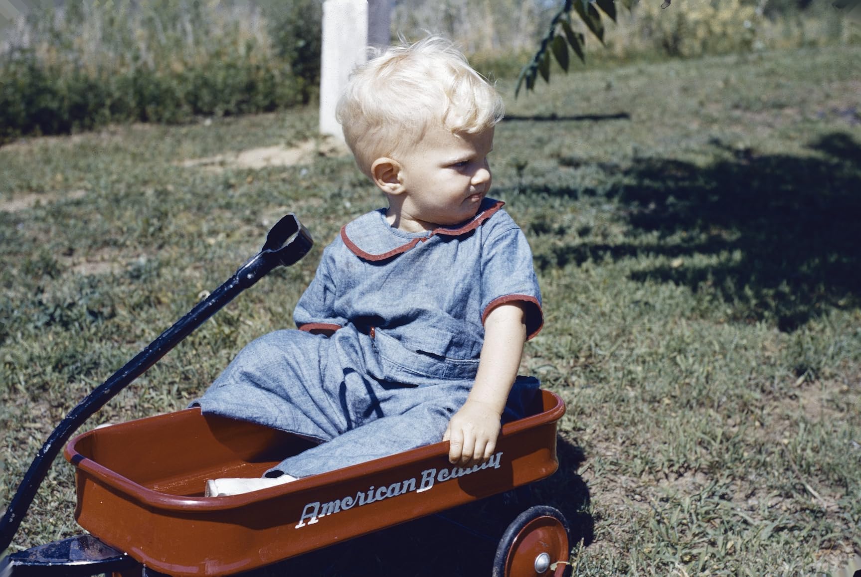 Plustek OpticFilm 8300i Ai Film Scanner - Converts 35mm Film & Slide into Digital, Bundle SilverFast Ai Studio 9 + QuickScan Plus, Include Advanced IT8 Calibration Target (3 Slide) customer photo 1