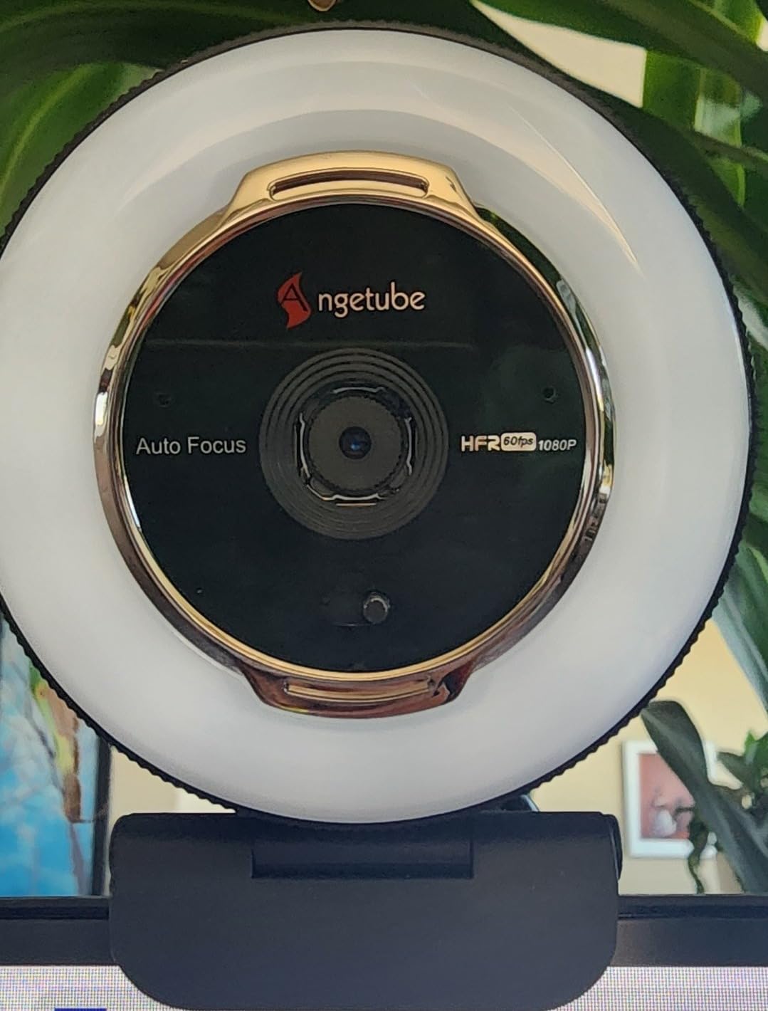 Angetube Streaming Webcam with Microphone: 1080P 60FPS USB Web Cam with Ring Light and Remote Control - HD Web Camera with 5X Digital Zoom Built in Privacy Cover,for PC|Computer|Laptop|Mac|Desktop customer photo 1