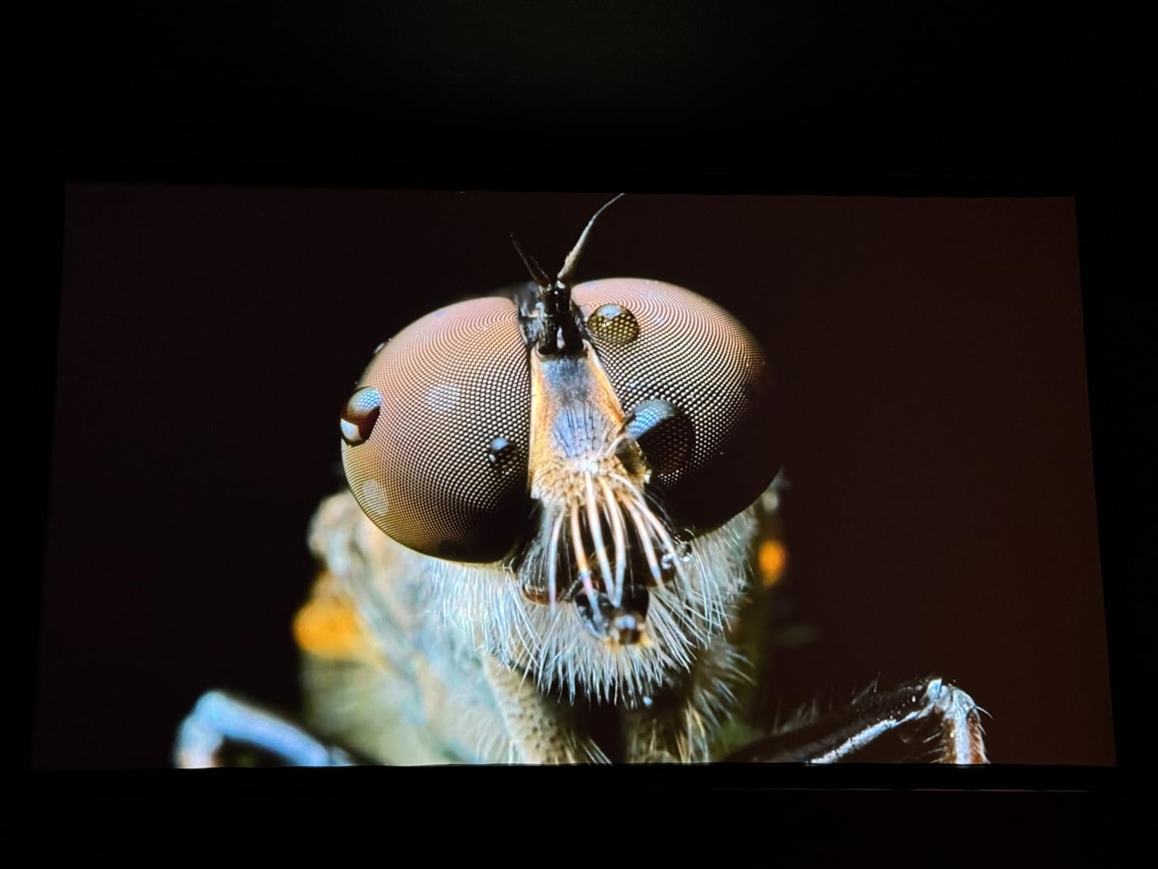 Epson Home Cinema LS11000 4K PRO-UHD Laser Projector HDR, HDR10+, 2500 Lumens Color & White Brightness, HDMI 2.1, Motorized Lens,Focus, Zoom, 3840 x 2160, 120 Hz,Media Room, Gaming customer photo 2