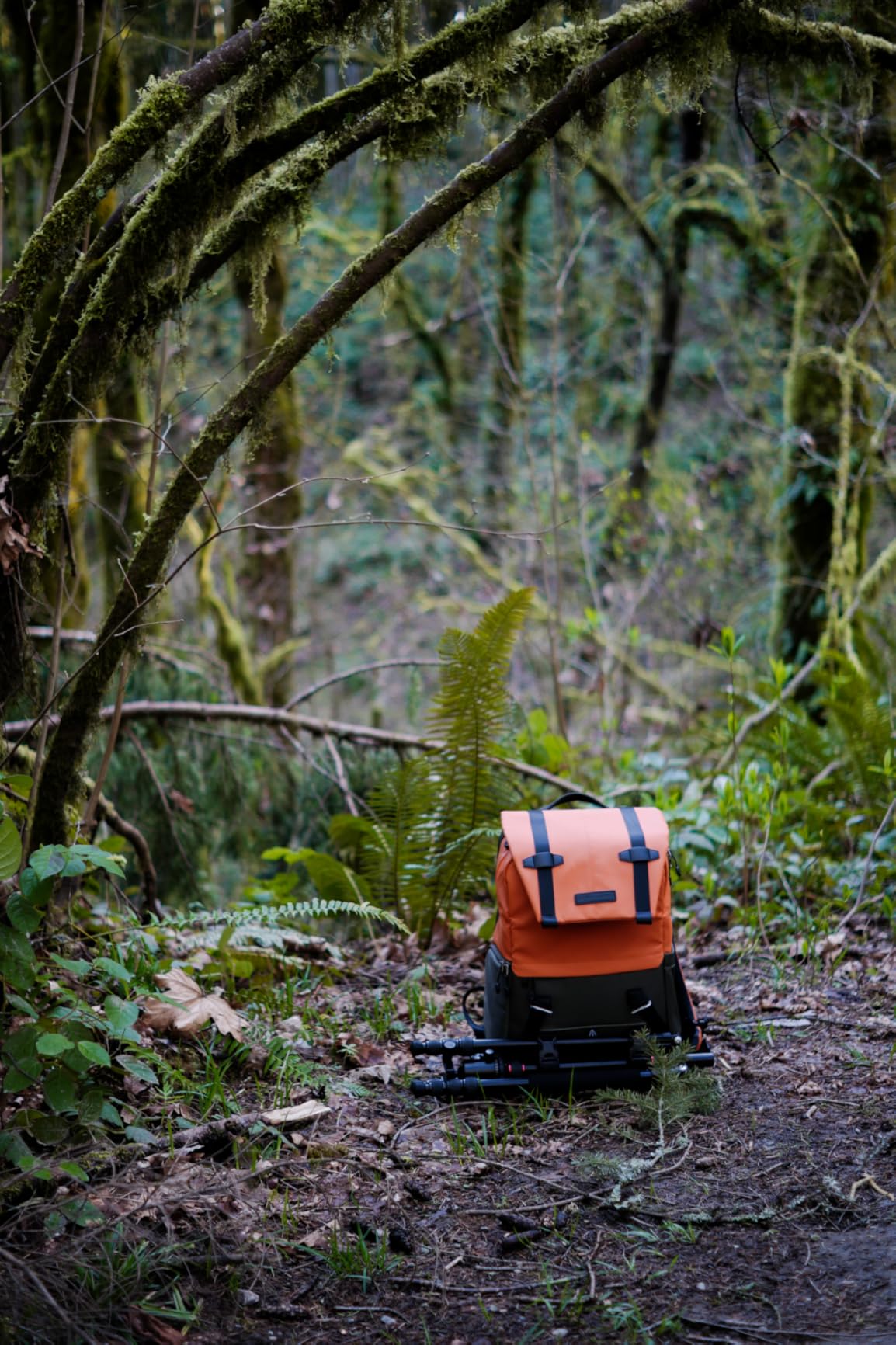 K&F CONCEPT Camera Backpack, Camera Bags for Photographers Large Capacity Camera Case with Raincover,15-15.6 Inch Laptop Compartment Compatible for Canon/Nikon/Sony/DJI Mavic Drone(Backpack 20L) customer photo 2