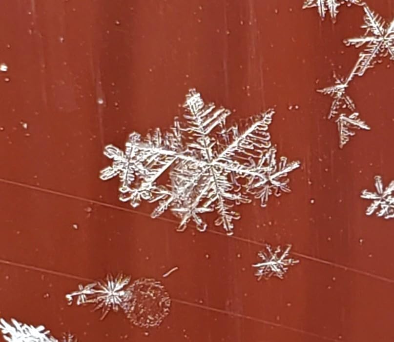 NEEWER 4-Way Macro Focusing Rail Slider with Quick Release Plate, 1/4