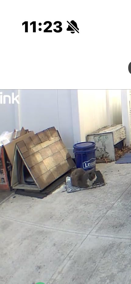 PETLIBRO Automatic Cat Feeder with Camera, 1080P HD & Night Vision, 5GHz/2.4GHz WiFi & Cam Smart Pet Feeder with App Control, 2-Way Audio, Motion Alerts for Cats & Dogs, Stainless Steel Single Tray customer photo 2