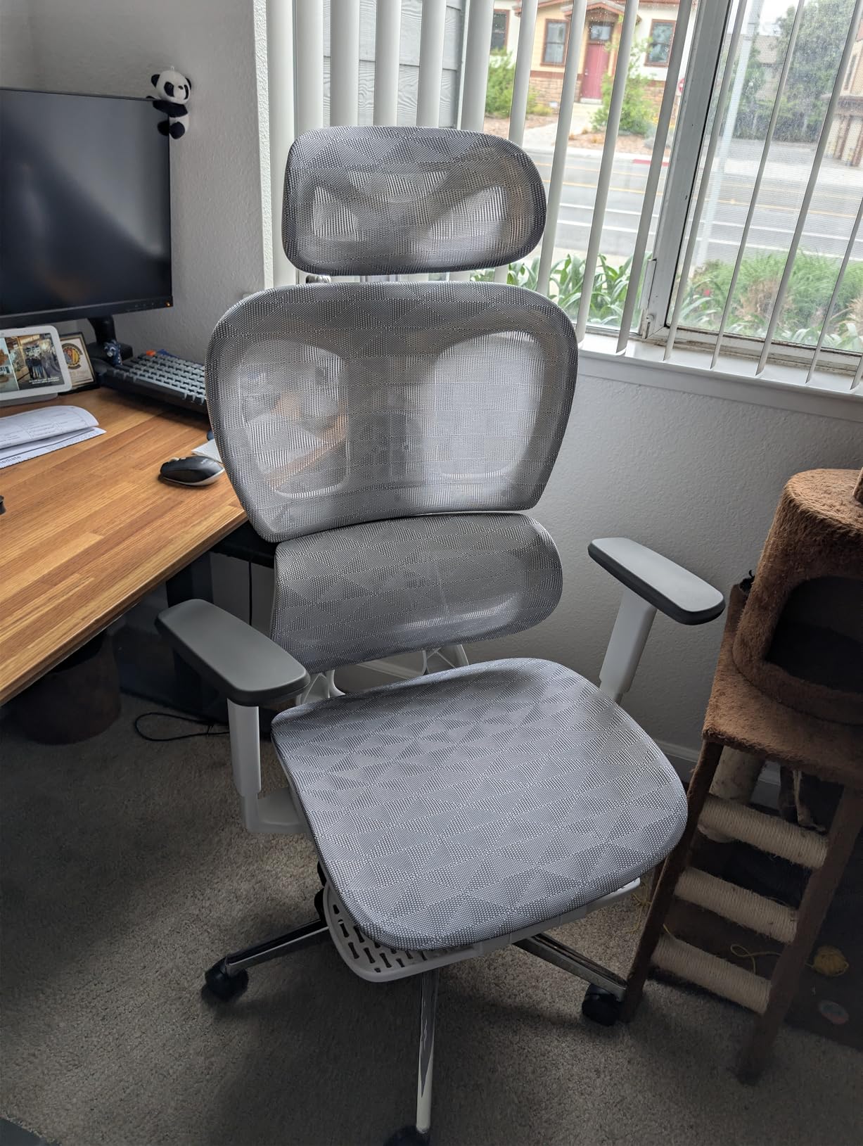 PatioMage Ergonomic Office Chair, Big and Tall Desk Chair with Adjustable Lumbar Support & Seat Depth, High Back Computer Chair, Swivel Mesh Chairs with Wheels for Home Office customer photo 1