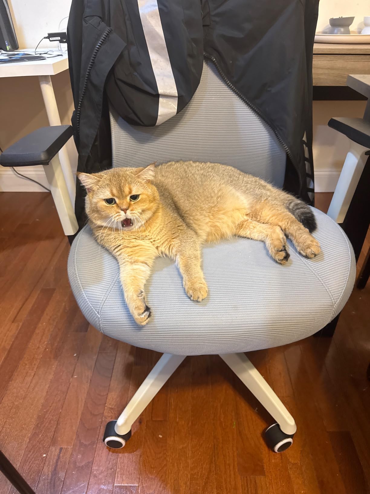 Big and Tall Home Office Desk Chair 500lb Capacity for Heavy People, Ergonomic Wide Mesh Desk Chair with Stepless Recline & Lock, 5.5