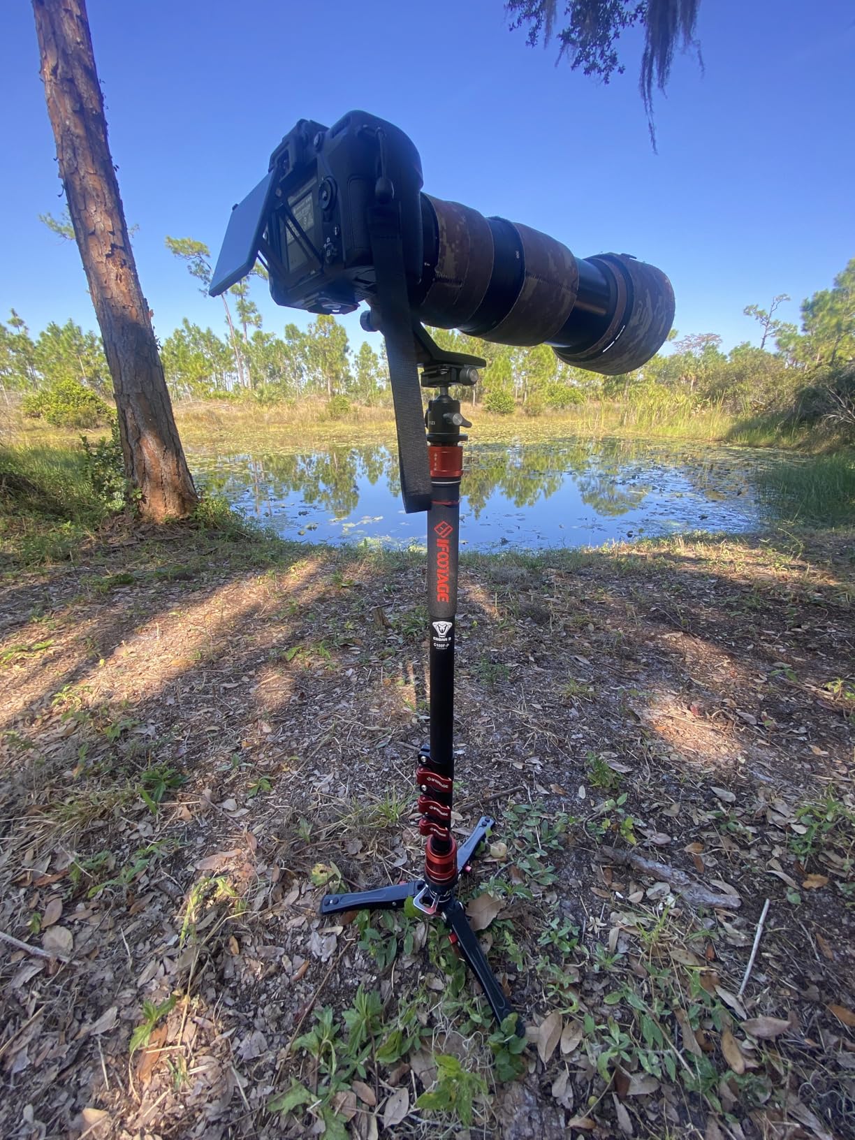 IFOOTAGE Monopod Cobra 3 C180F-P, 71