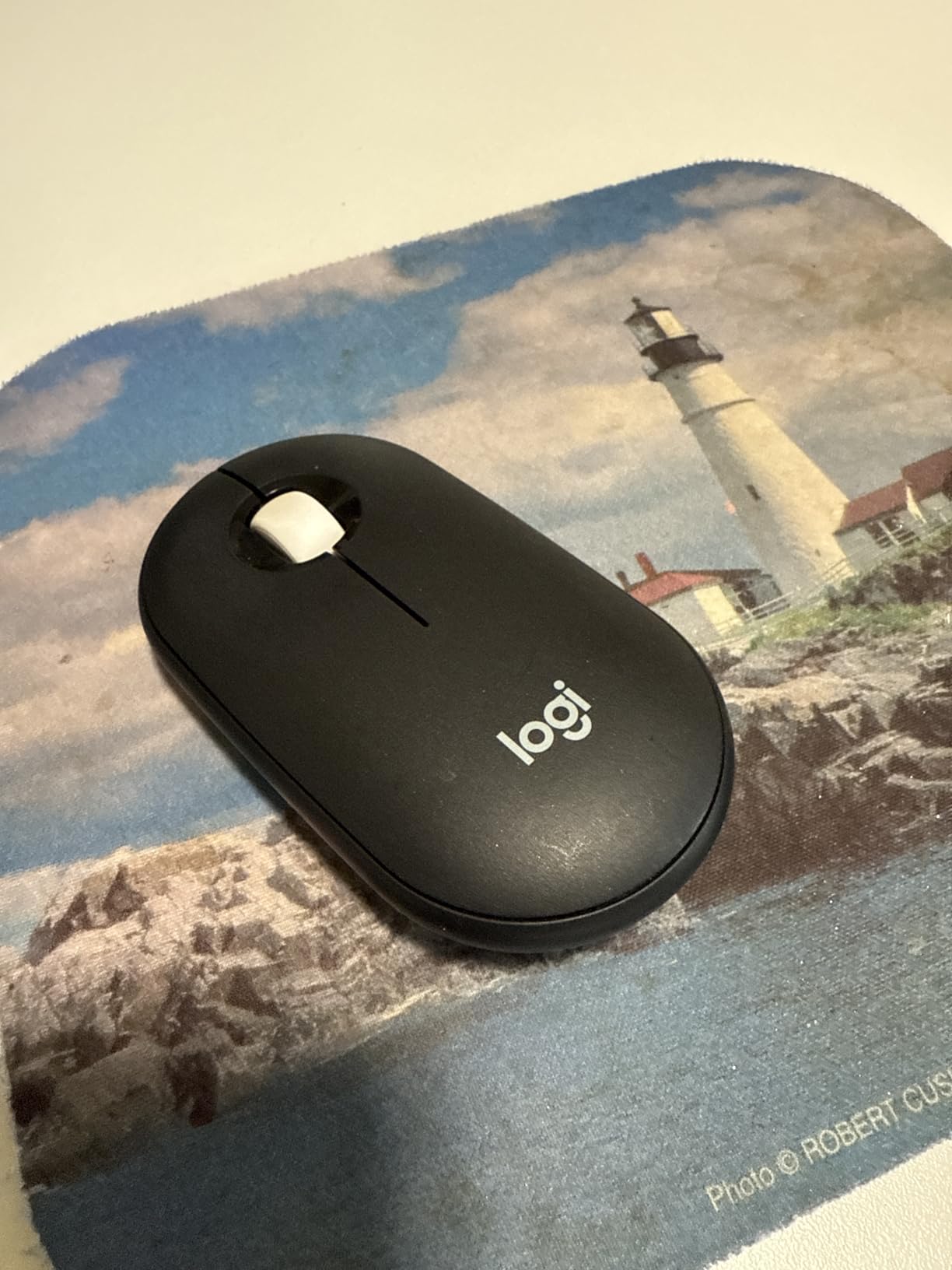 Logitech Pebble Mouse 2 M350s Slim Bluetooth Wireless Mouse customer photo 1