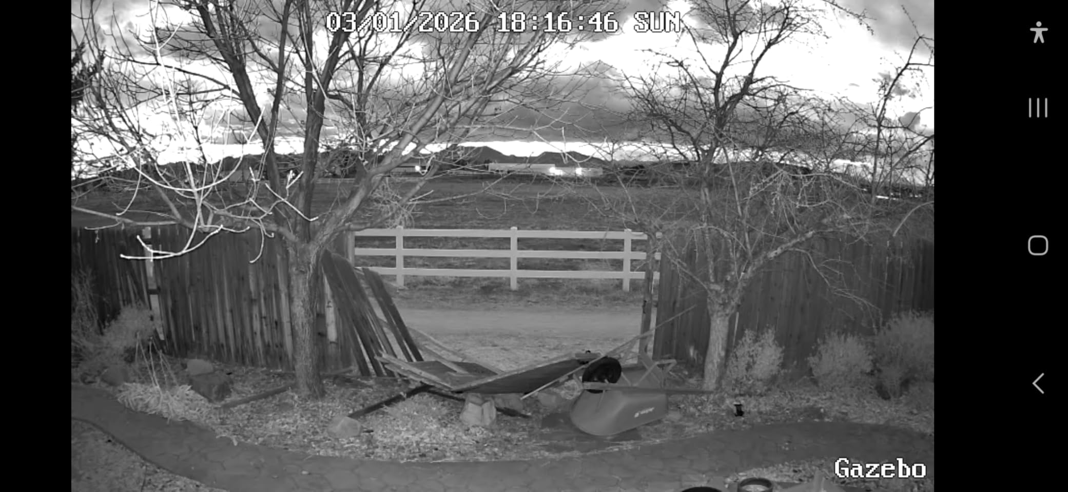 REOLINK First 4K Solar Security Cameras Wireless Outdoor, Argus PT Ultra+Solar Panel, 360° Pan Tilt Auto-Tracking, 8MP Color Night Vision, 2.4/5 GHz Wi-Fi 6, No Subscriptions, Home Hub Compatible customer photo 2