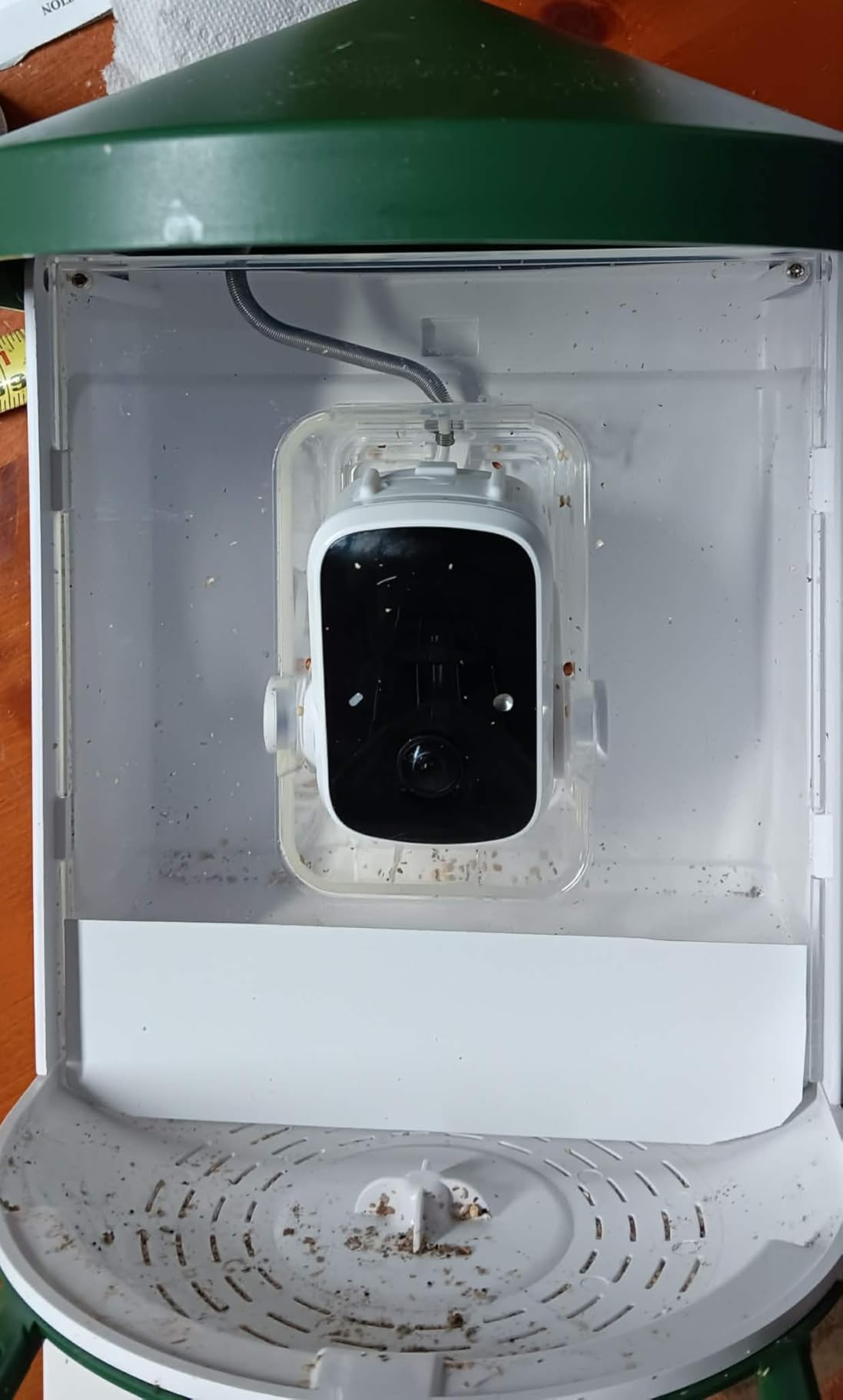 Bird Feeder with Camera with AI Identify Birds Species Solar Powered, Smart Bird House with Cam, 2K HD Video Live Stream, Instant Arrival Alerts - Green customer photo 1