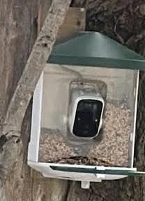 Bird Feeder with Camera with AI Identify Birds Species Solar Powered, Smart Bird House with Cam, 2K HD Video Live Stream, Instant Arrival Alerts - Green customer photo 2