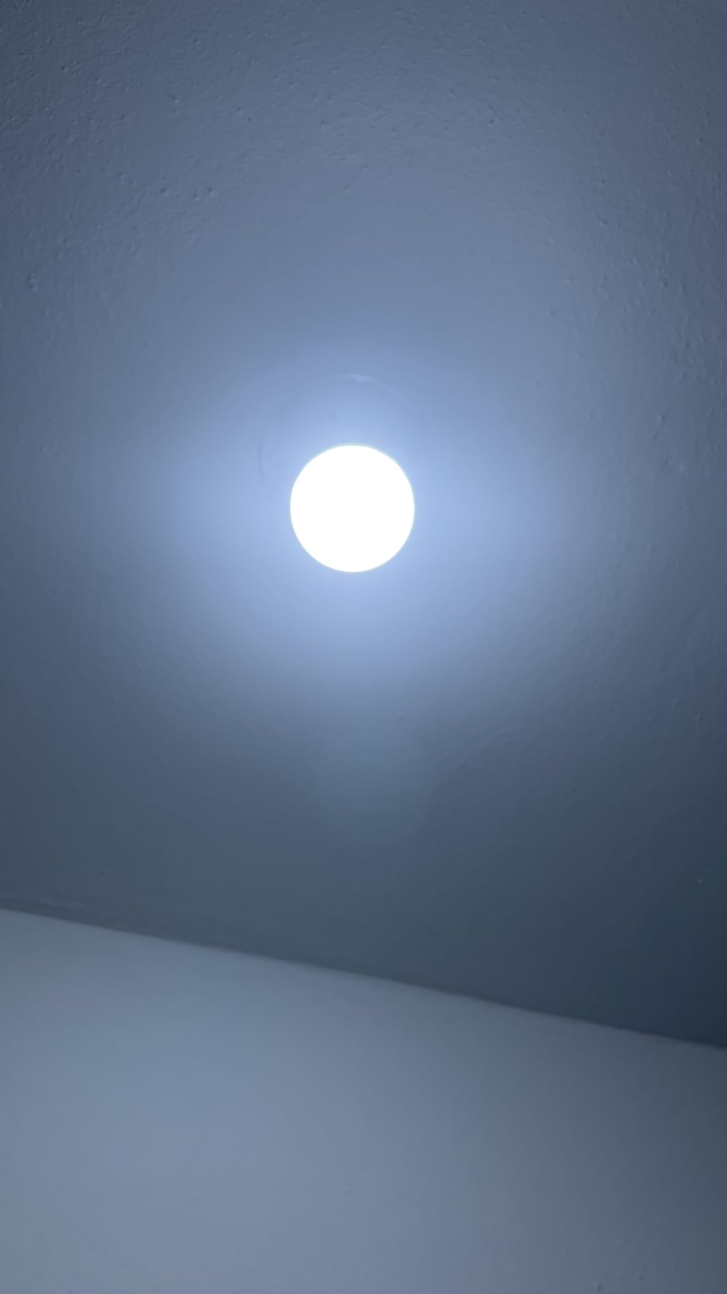 Sengled Matter LED Smart Light Bulb (A19), Multicolor, Compatible with Alexa, 60W Equivalent, 800LM, Instant Pairing, 1-Pack customer photo 1