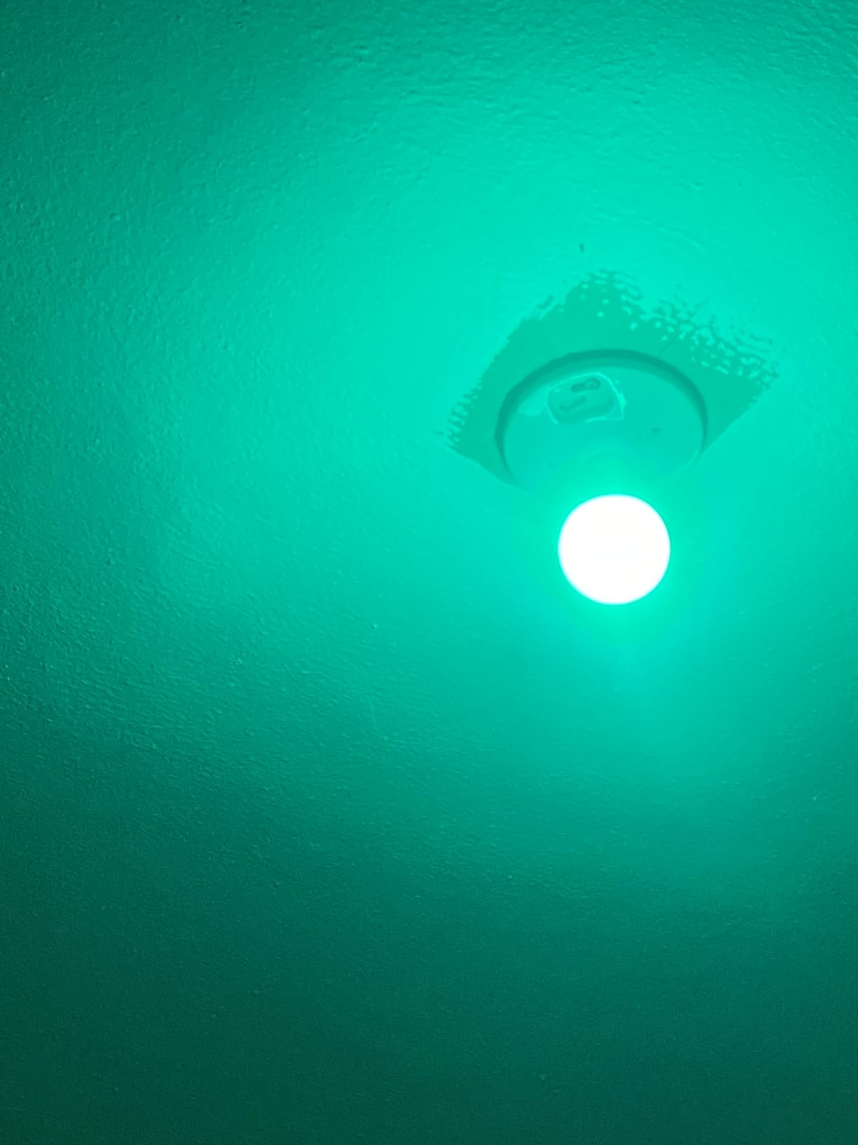 Sengled Matter LED Smart Light Bulb (A19), Multicolor, Compatible with Alexa, 60W Equivalent, 800LM, Instant Pairing, 1-Pack customer photo 2