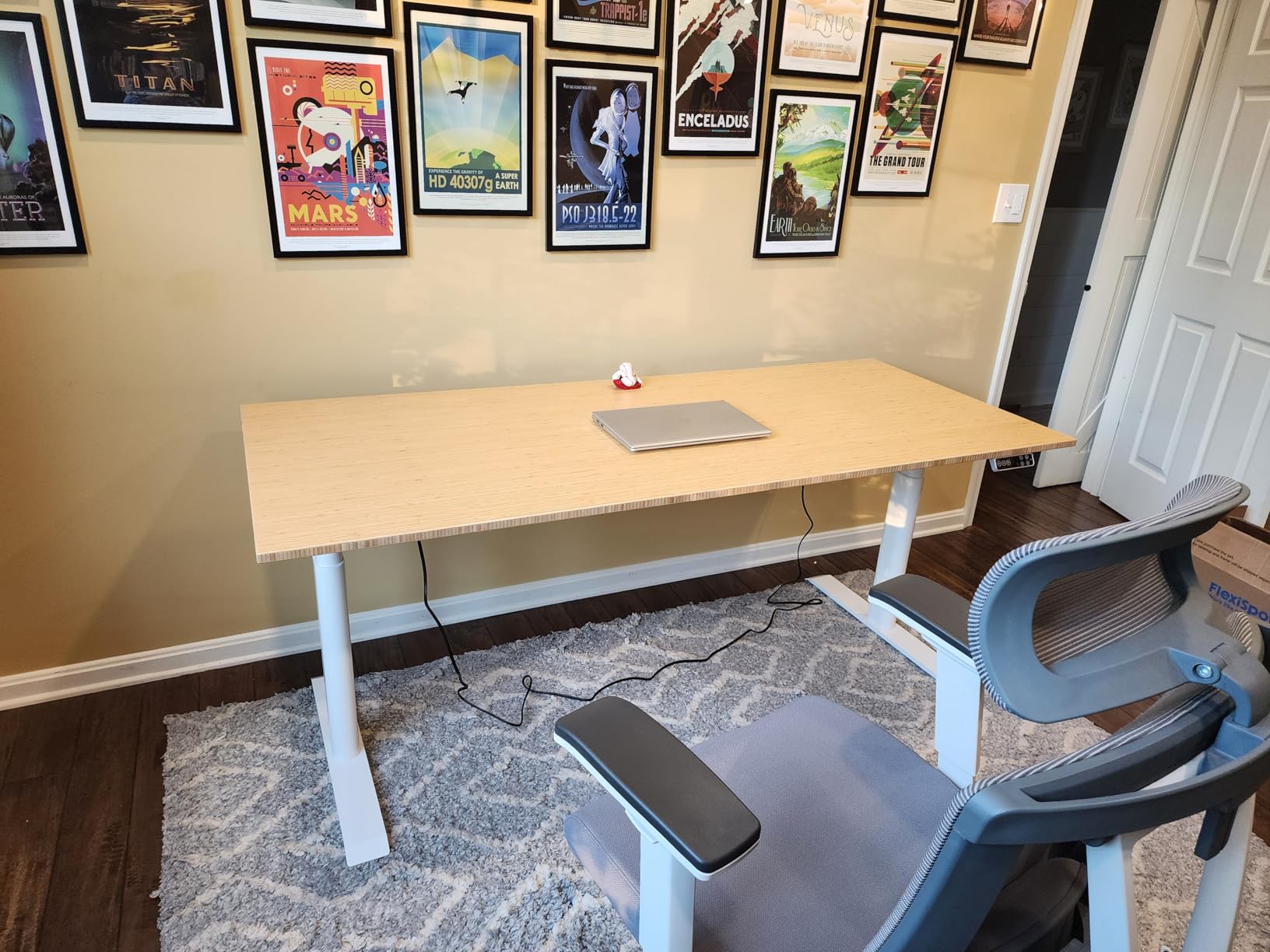 FLEXISPOT E6 Pro Oval Leg Dual Motor 3 Stages Bamboo Electric Standing Desk 55x28 Inch customer photo 1