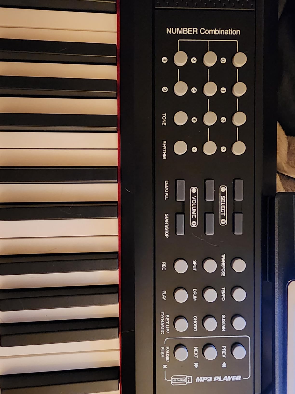 STRICH 88 Keys Weighted Keyboard with Sustain Pedal, Hammer-Action Digital Piano, 2x15W Built-In Speakers, Full-size Electric Piano Keyboard Supports USB-MIDI/Wireless Connect, SDP-120 customer photo 1