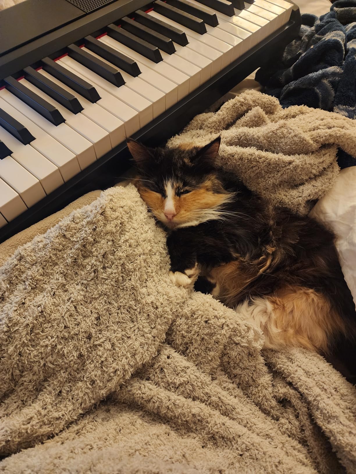 STRICH 88 Keys Weighted Keyboard with Sustain Pedal, Hammer-Action Digital Piano, 2x15W Built-In Speakers, Full-size Electric Piano Keyboard Supports USB-MIDI/Wireless Connect, SDP-120 customer photo 2