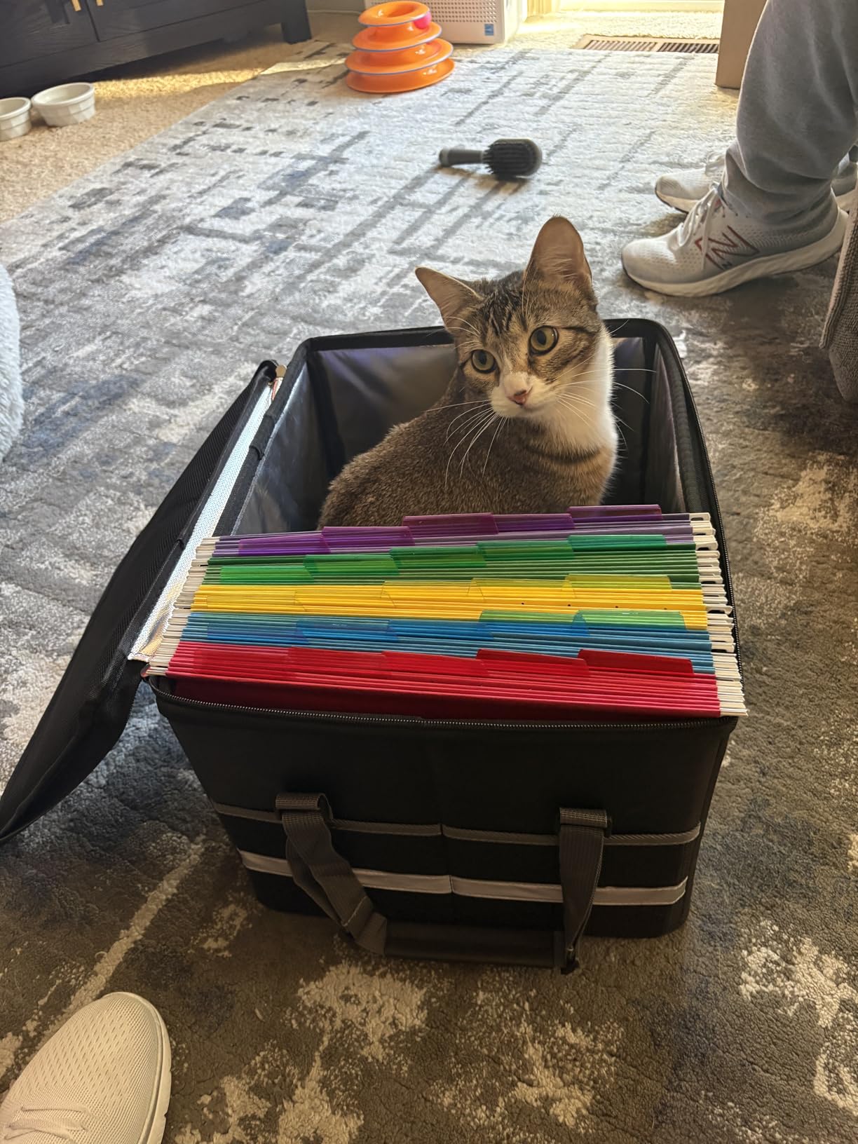 ENGPOW 5200°F Fireproof Document Box with Lock, Heat Insulated Collapsible File Storage Organizer with Handle, Portable Home Office File Cabinet for Hanging Letter/Legal Size Folder, Black customer photo 1