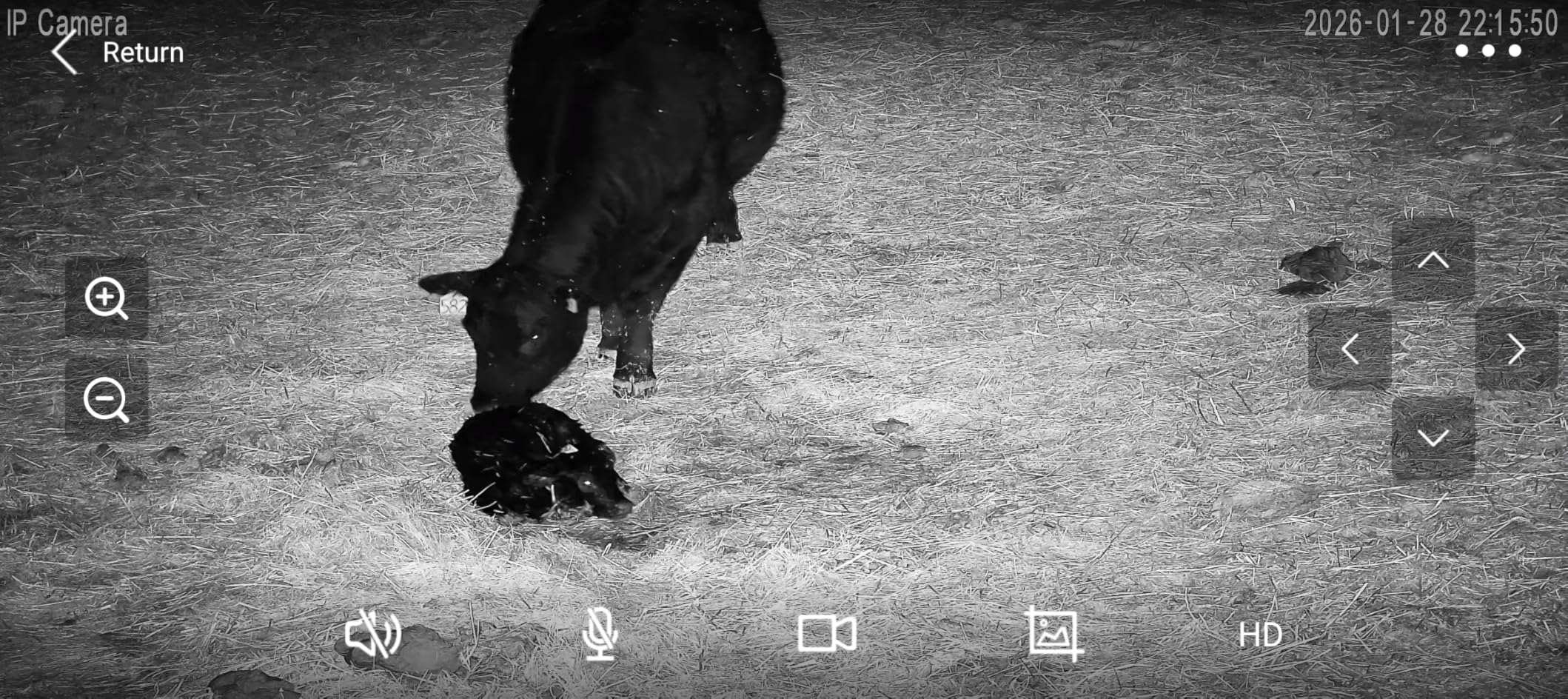 4K PTZ Security Camera Outdoor with 30X Optical Zoom, 1000FT Night Vision, 8MP 360° WiFi Wireless RTSP IP Camera, Auto Tracking, Person/Vehicle Detection customer photo 1