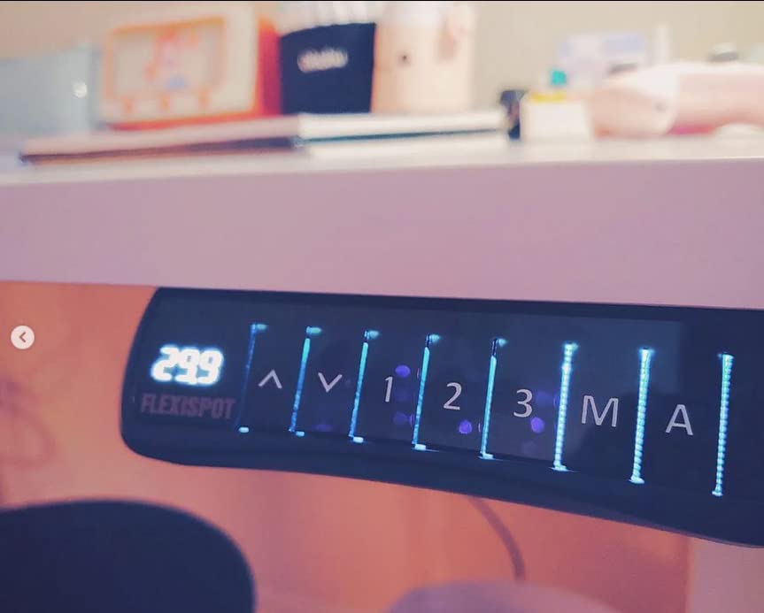 FLEXISPOT E6 MAX Bamboo 55x28 Inch Dual Motor 3-Stage Heavy Duty Standing Desk, 330lbs Weight Capacity customer photo 1